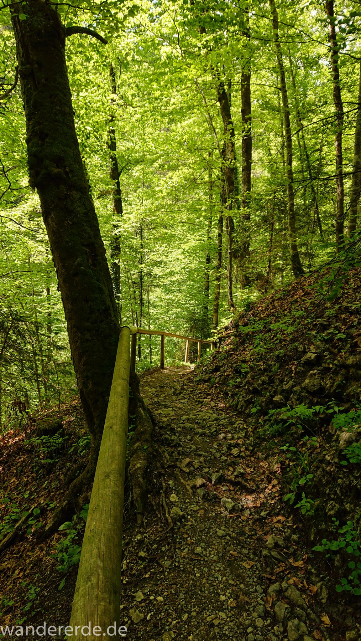 Rundwanderung Partnachklamm im Wettersteingebirge bei Garmisch-Partenkirchen, Bayern, Wanderweg führt über schmalen Pfad durch schönen, dichten Mischwald zur Eisernen Brücke