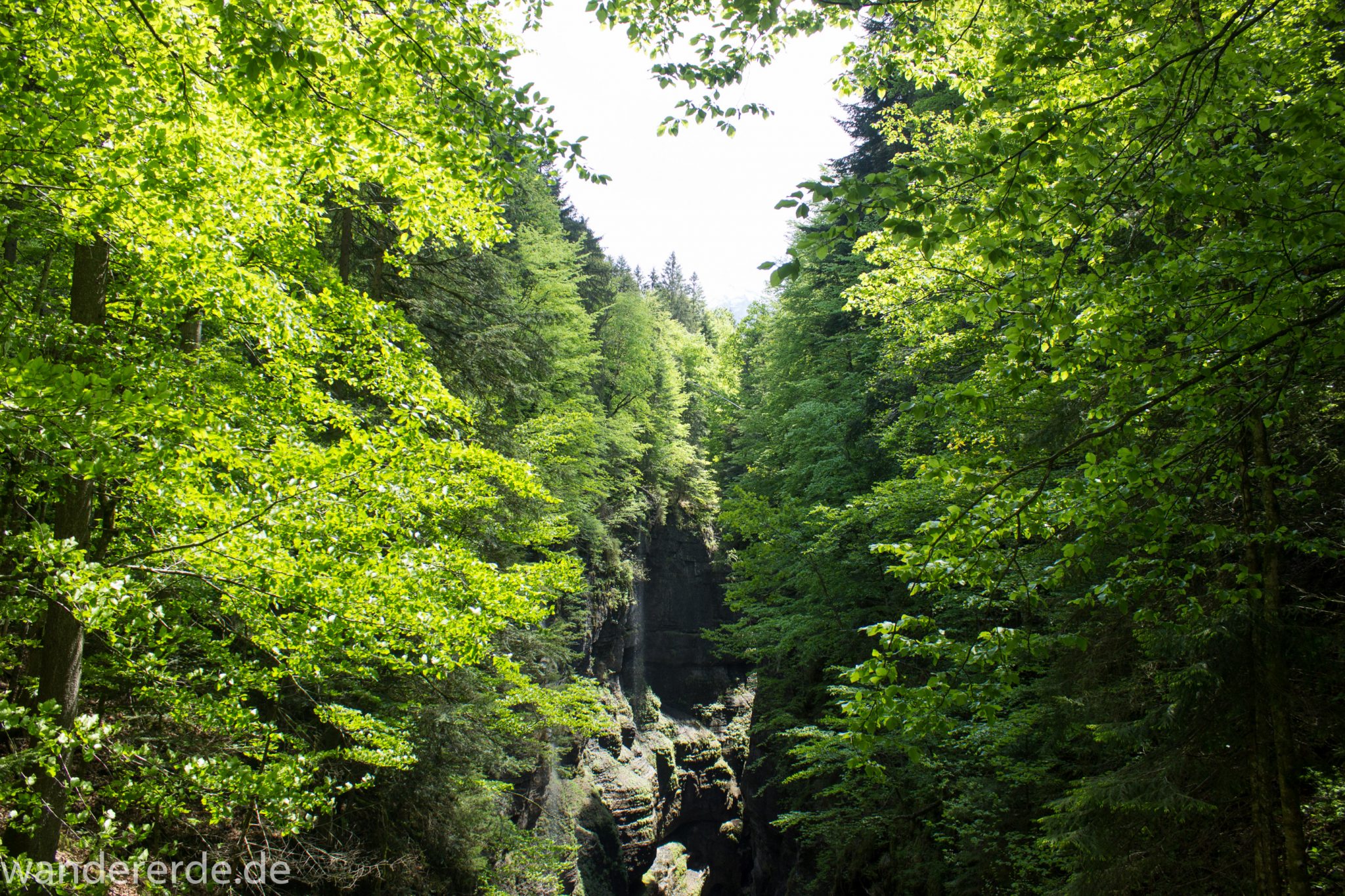 Rundwanderung Partnachklamm im Wettersteingebirge bei Garmisch-Partenkirchen, Bayern, Blick von Eiserner Brücke in die Partnachklamm, Fluss Partnach bahnt sich Weg durch die Klamm, Wanderweg und die steil aufragenden Felswände der Partnachklamm sind umgeben von schönem, dichten Mischwald, durch doch anstrengenderen Wanderweg hier her sind auch kaum noch andere Wanderer unterwegs