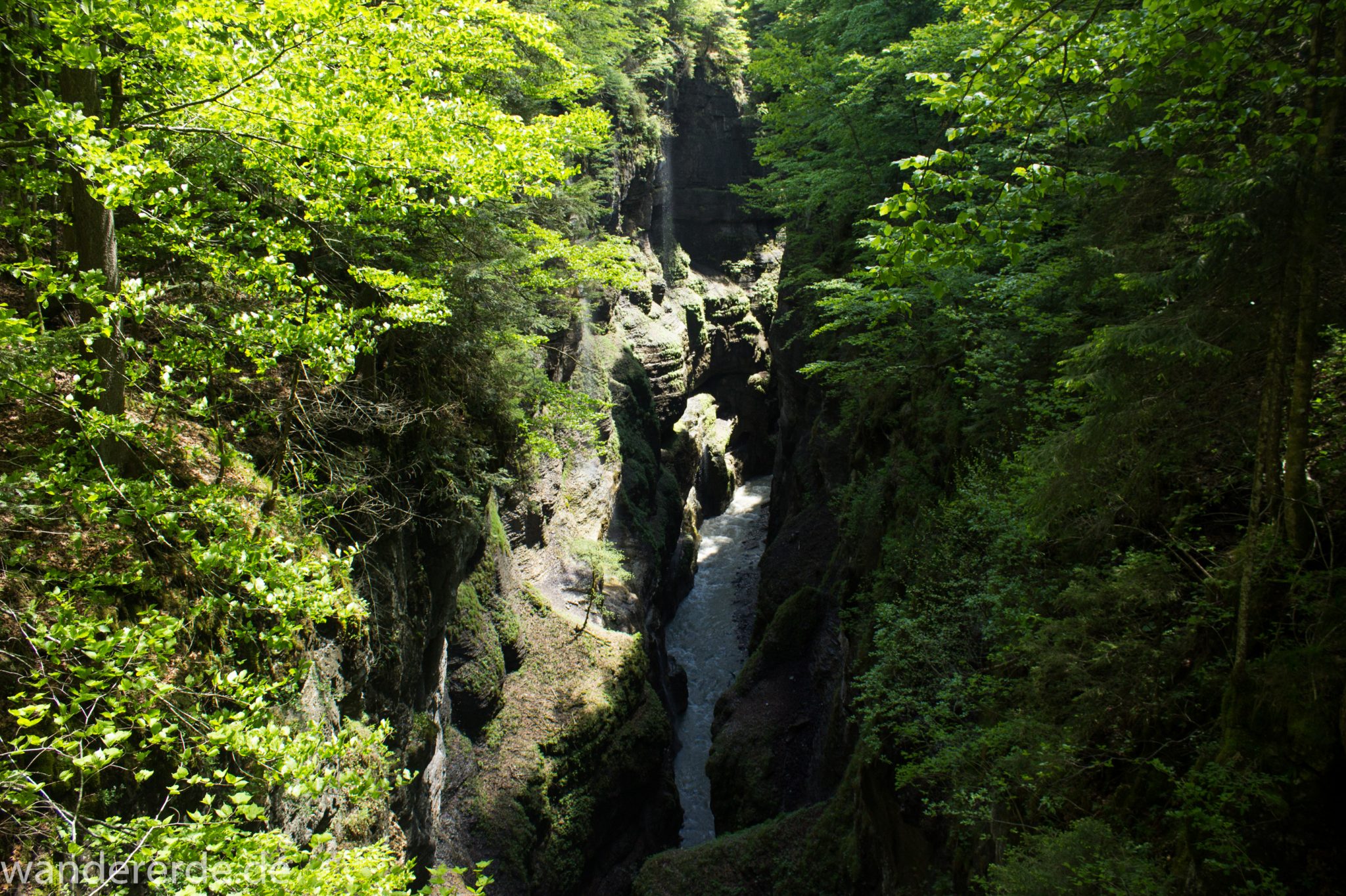 Rundwanderung Partnachklamm im Wettersteingebirge bei Garmisch-Partenkirchen, Bayern, Blick von Eiserner Brücke in die Partnachklamm, Fluss Partnach bahnt sich Weg durch die Klamm, Wanderweg und die steil aufragenden Felswände der Partnachklamm sind umgeben von schönem, dichten Mischwald