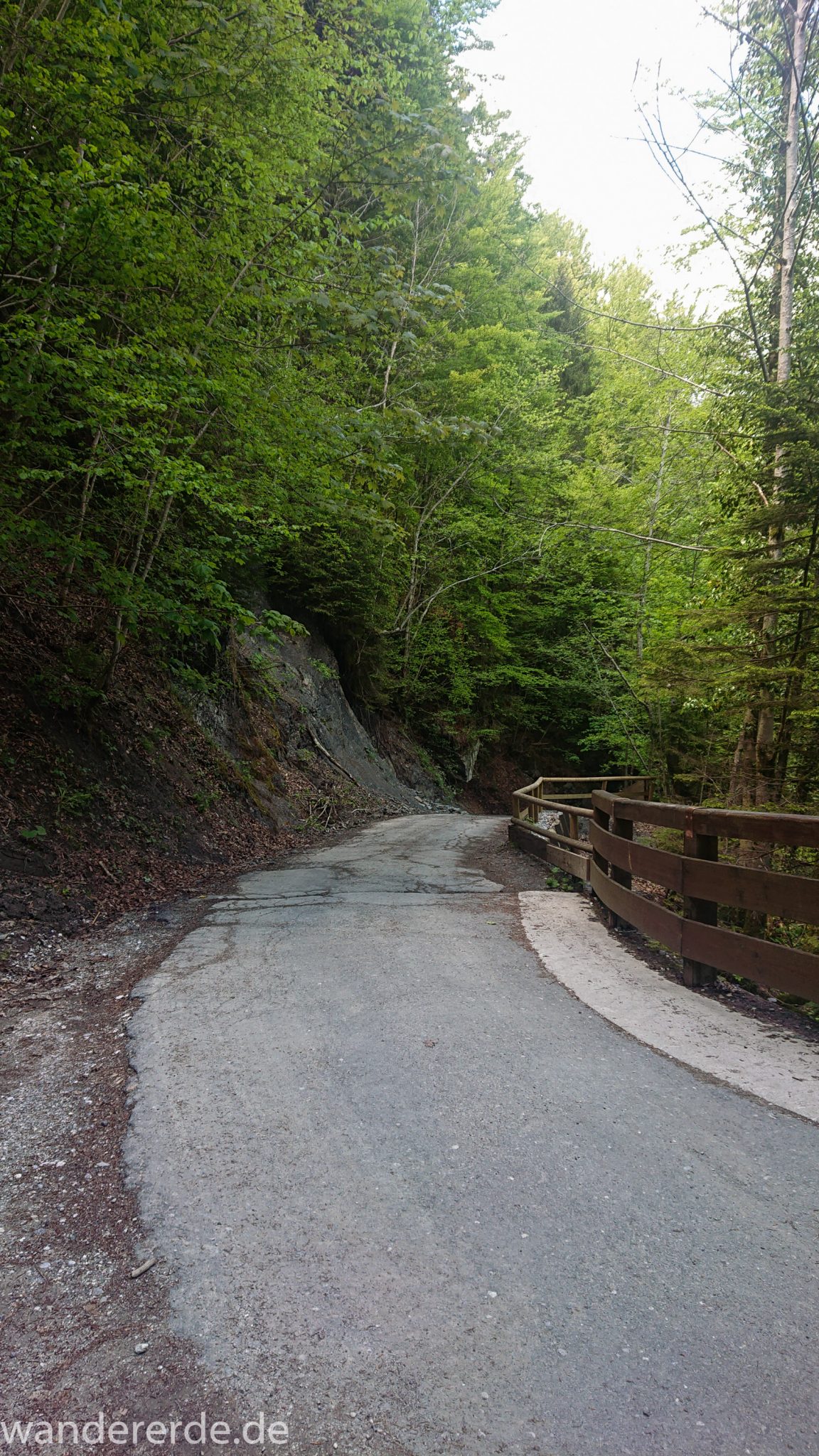 Rundwanderung Partnachklamm im Wettersteingebirge bei Garmisch-Partenkirchen, Bayern, umgeben von schönem, dichtem Wald führt der Rundweg von der Partnachklamm zurück nach Garmisch-Partenkirchen, asphaltierter und ziemlich steiler Weg bergab zurück zur Ausgangsstraße beim Skistadion