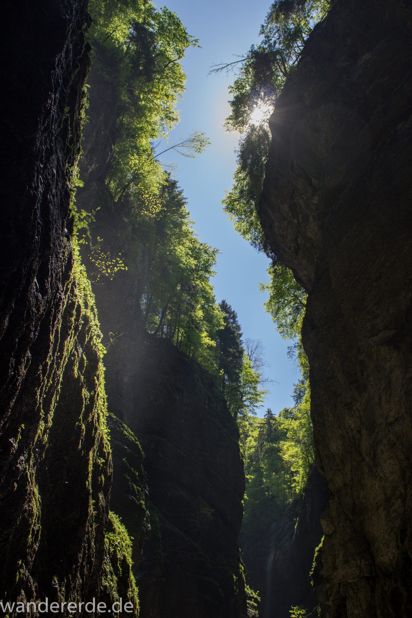 Rundwanderung Partnachklamm im Wettersteingebirge bei Garmisch-Partenkirchen, Bayern, steil aufragende Felswände bilden eine Schlucht, Sonnenlicht strahlt von oben in die Klamm, oben wächst ein dichter grüner Wald