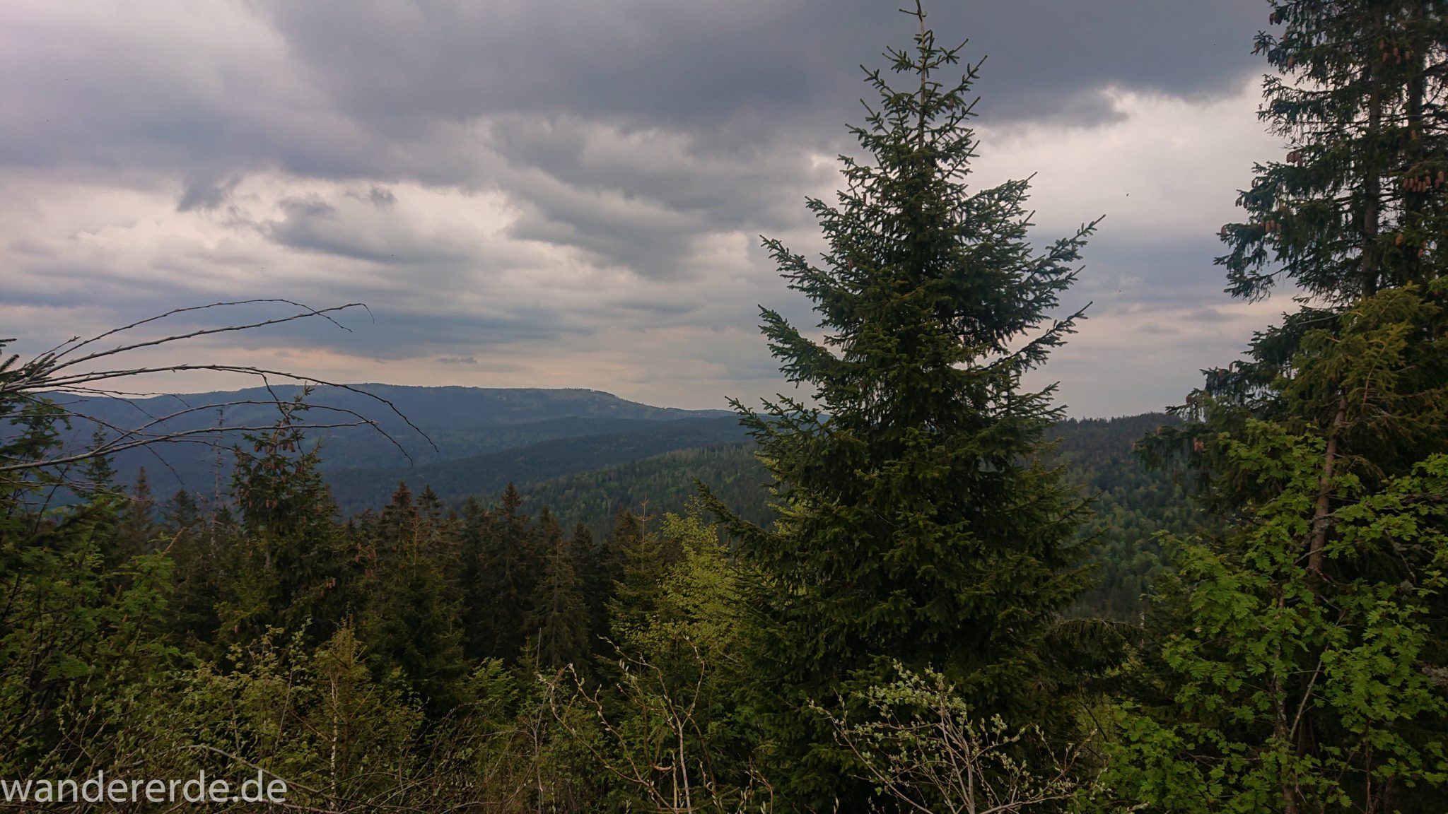 Rundwanderung zum Großen Arber im Bayerischen Wald, Aussicht auf riesiges Waldgebiet des bayerischen Waldes, schöner und dichter Wald, Mischwald aus Laub- und Nadelbäume, Frühjahr im bayerischen Wald