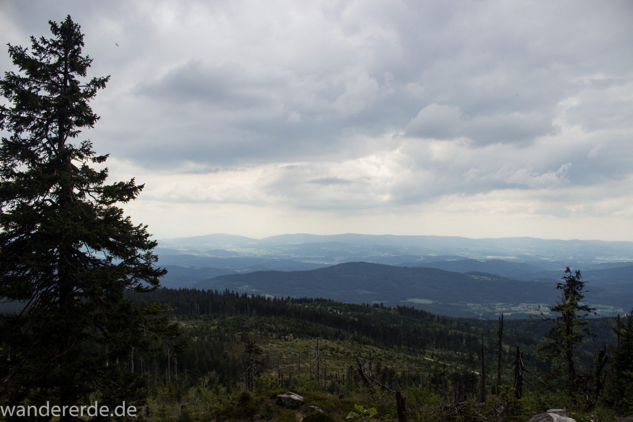 Rundwanderung zum Großen Arber im Bayerischen Wald, Aussicht auf riesiges Waldgebiet des bayerischen Waldes, schöner und dichter Wald, Mischwald aus Laub- und Nadelbäume, Frühjahr im bayerischen Wald