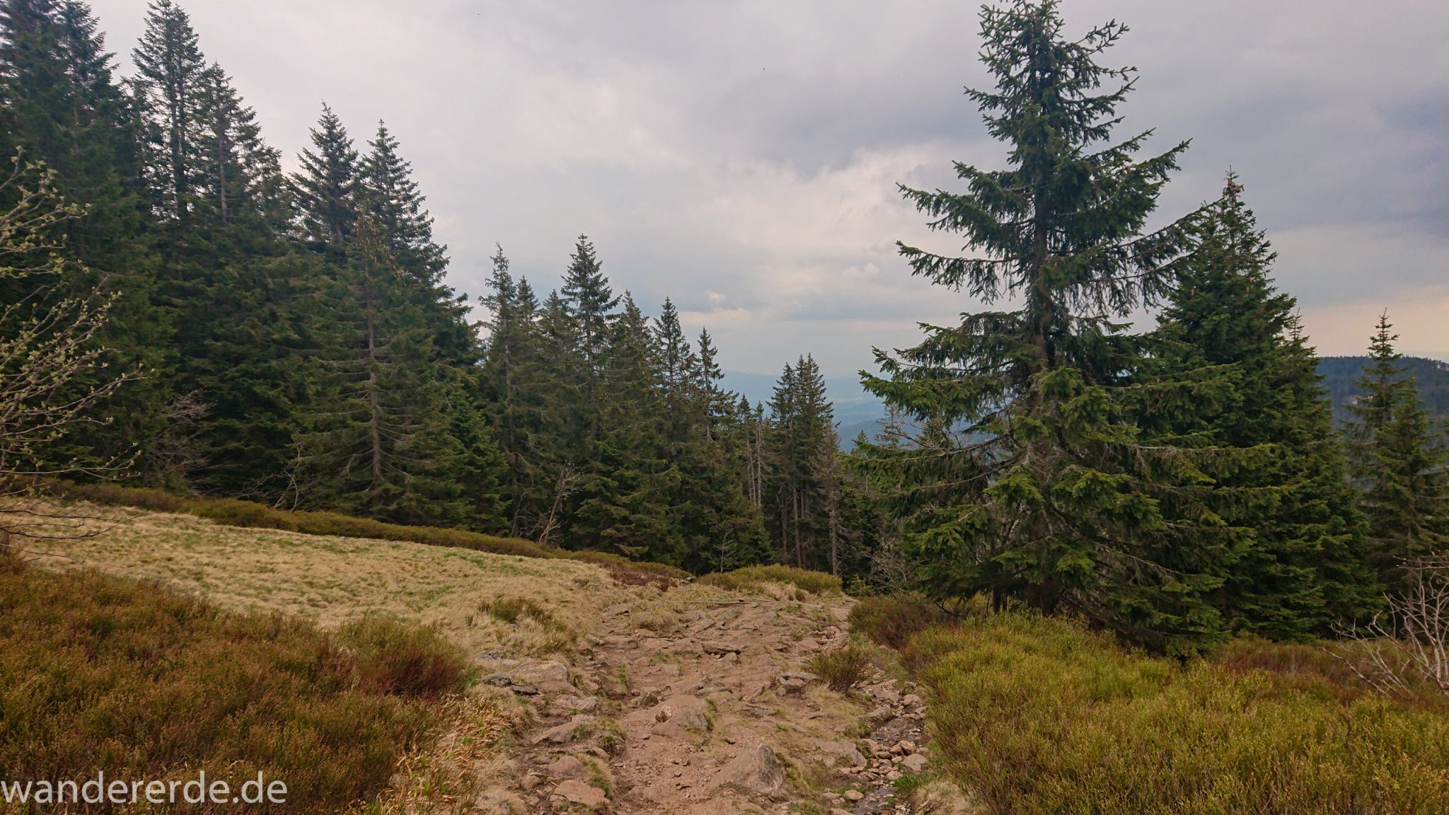 Rundwanderung zum Großen Arber im Bayerischen Wald, naturbelassener, abwechslunsgreicher Wanderweg über große Steine, teils exponierte Lage, schöner und dichter Wald, Mischwald aus Laub- und Nadelbäume, Frühjahr im bayerischen Wald, weite Aussichten auf den bayerischen Wald