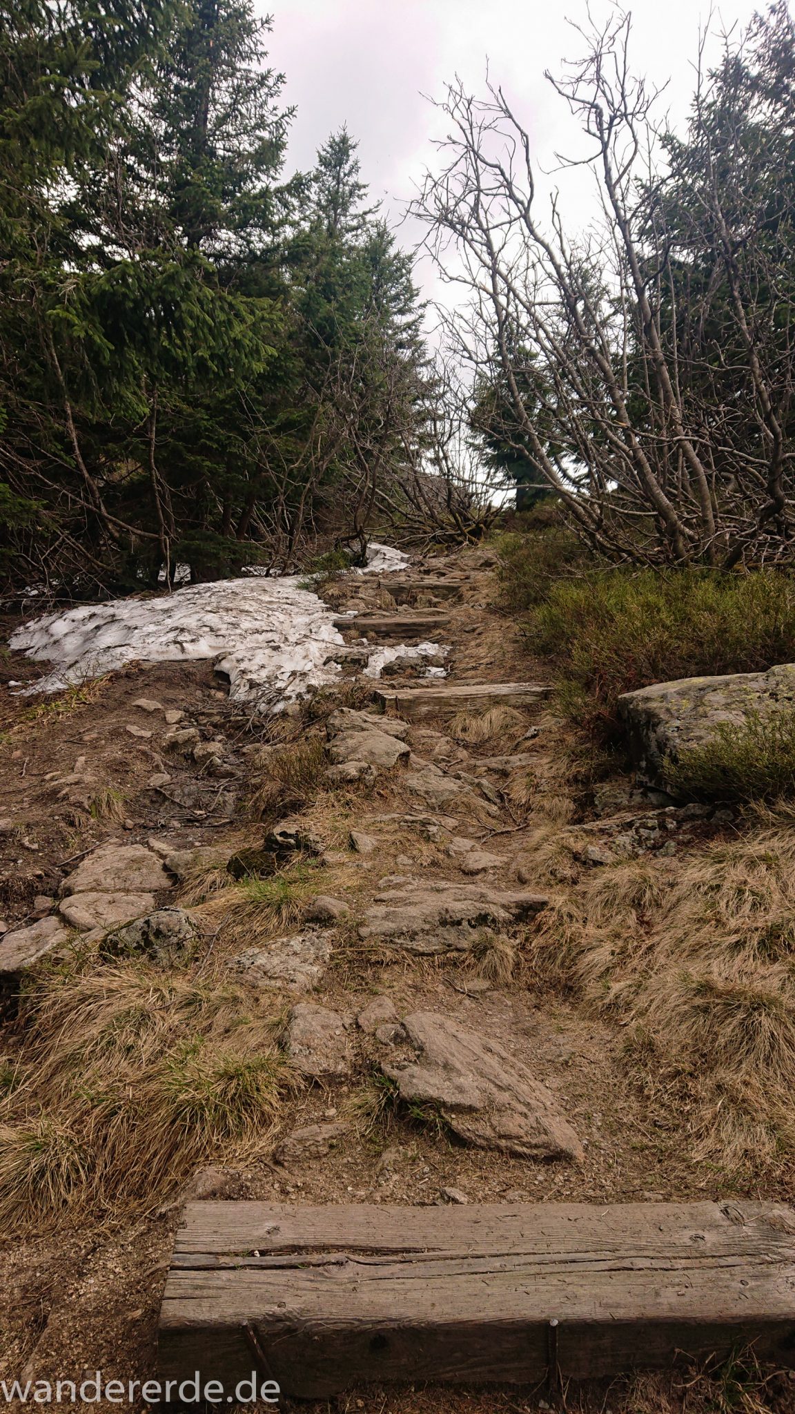 Rundwanderung zum Großen Arber im Bayerischen Wald, abwechslunsgreicher Wanderweg über große Steine und Stufen auf den Berg Großer Arber, teils exponierte Lage, Frühjahr im bayerischen Wald mit letzten Schneefeldern Ende Mai
