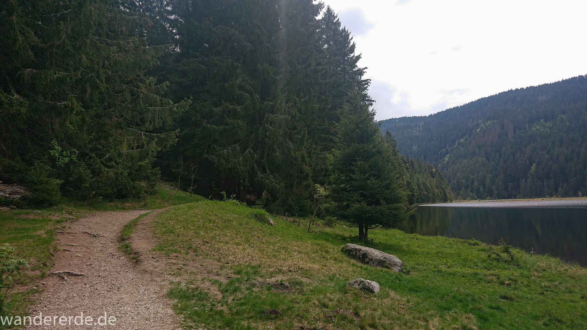 Rundwanderung zum Großen Arber im Bayerischen Wald, naturbelassener, abwechslunsgreicher Waldweg, Rundweg um den kleinen Arbersee, klares sauberes Wasser im kleinen Arbersee, schöner und dichter Wald, Mischwald aus Laub- und Nadelbäume, Frühjahr im bayerischen Wald