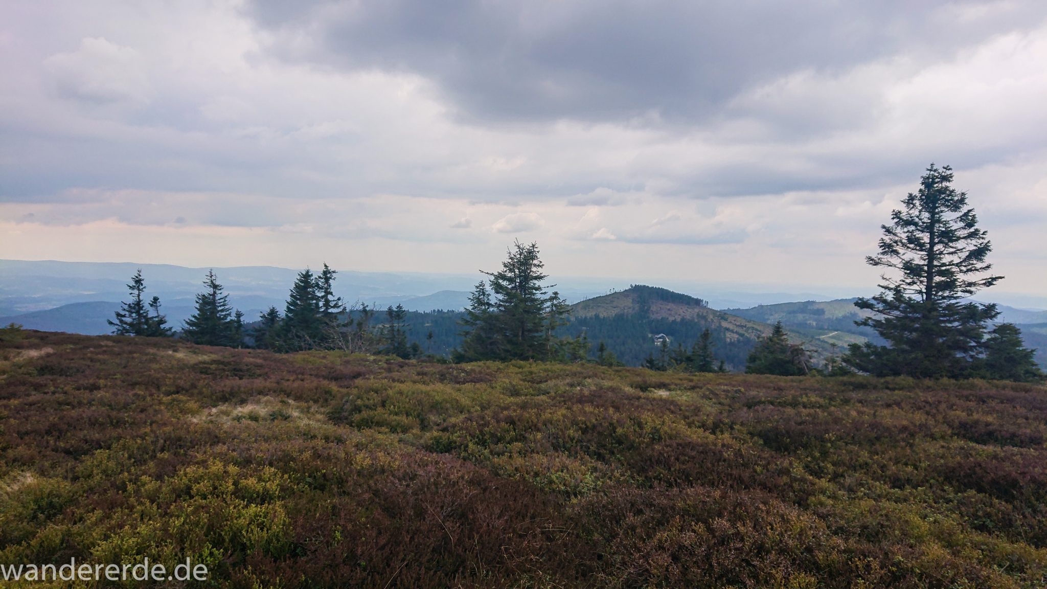 Rundwanderung zum Großen Arber im Bayerischen Wald, weite Aussicht auf riesiges Waldgebiet des bayerischen Waldes vom Berg Großer Arber, schöner und dichter Wald, Mischwald aus Laub- und Nadelbäume, Frühjahr im bayerischen Wald