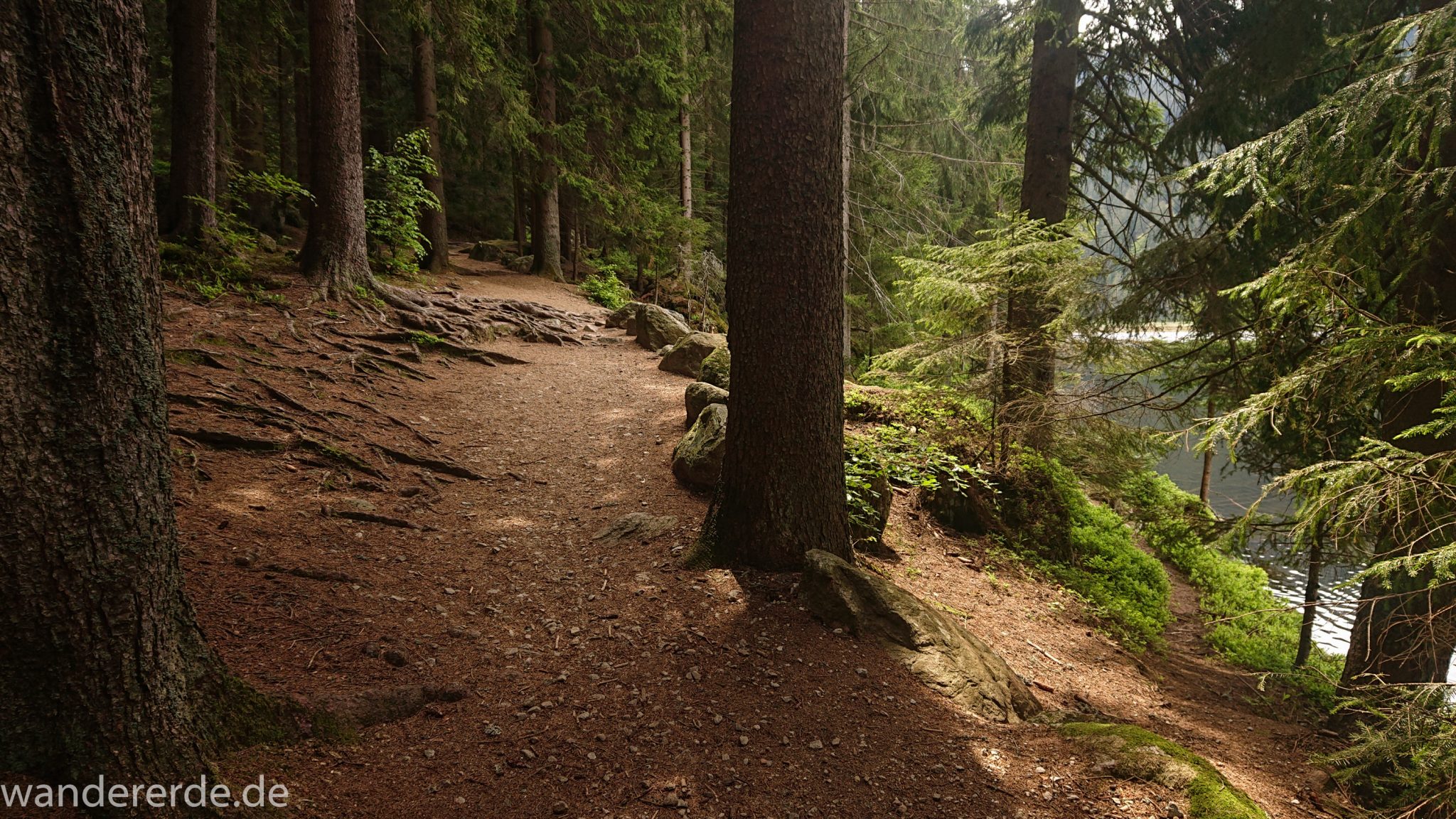 Rundwanderung zum Großen Arber im Bayerischen Wald, naturbelassener, abwechslunsgreicher Waldweg, Rundweg um den kleinen Arbersee, klares sauberes Wasser im kleinen Arbersee, schöner und dichter Wald, Mischwald aus Laub- und Nadelbäume, Frühjahr im bayerischen Wald
