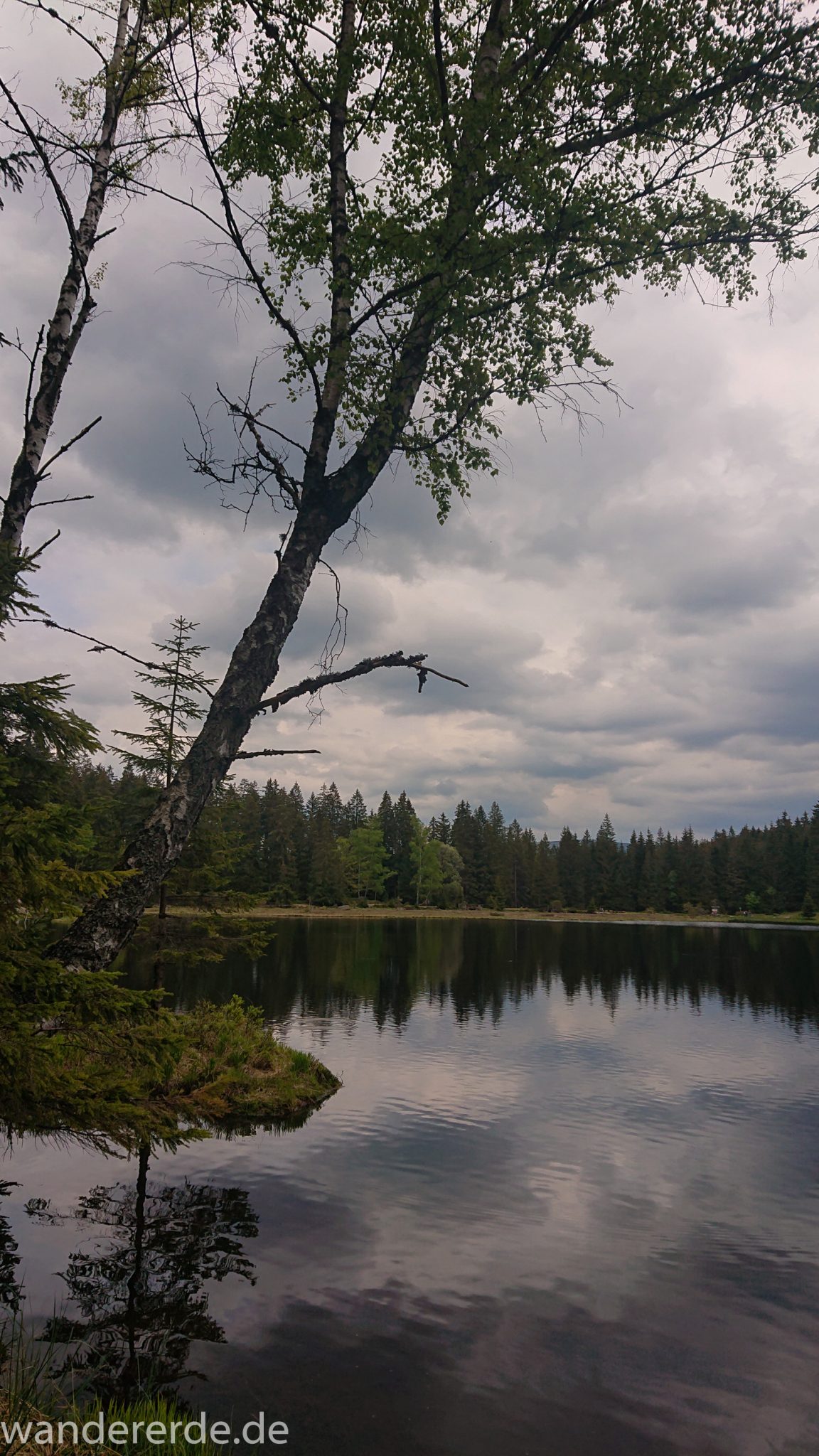Rundwanderung zum Großen Arber im Bayerischen Wald, naturbelassener, abwechslunsgreicher Waldweg, Rundweg um den kleinen Arbersee, klares sauberes Wasser im kleinen Arbersee, schöner und dichter Wald, Mischwald aus Laub- und Nadelbäume, Frühjahr im bayerischen Wald