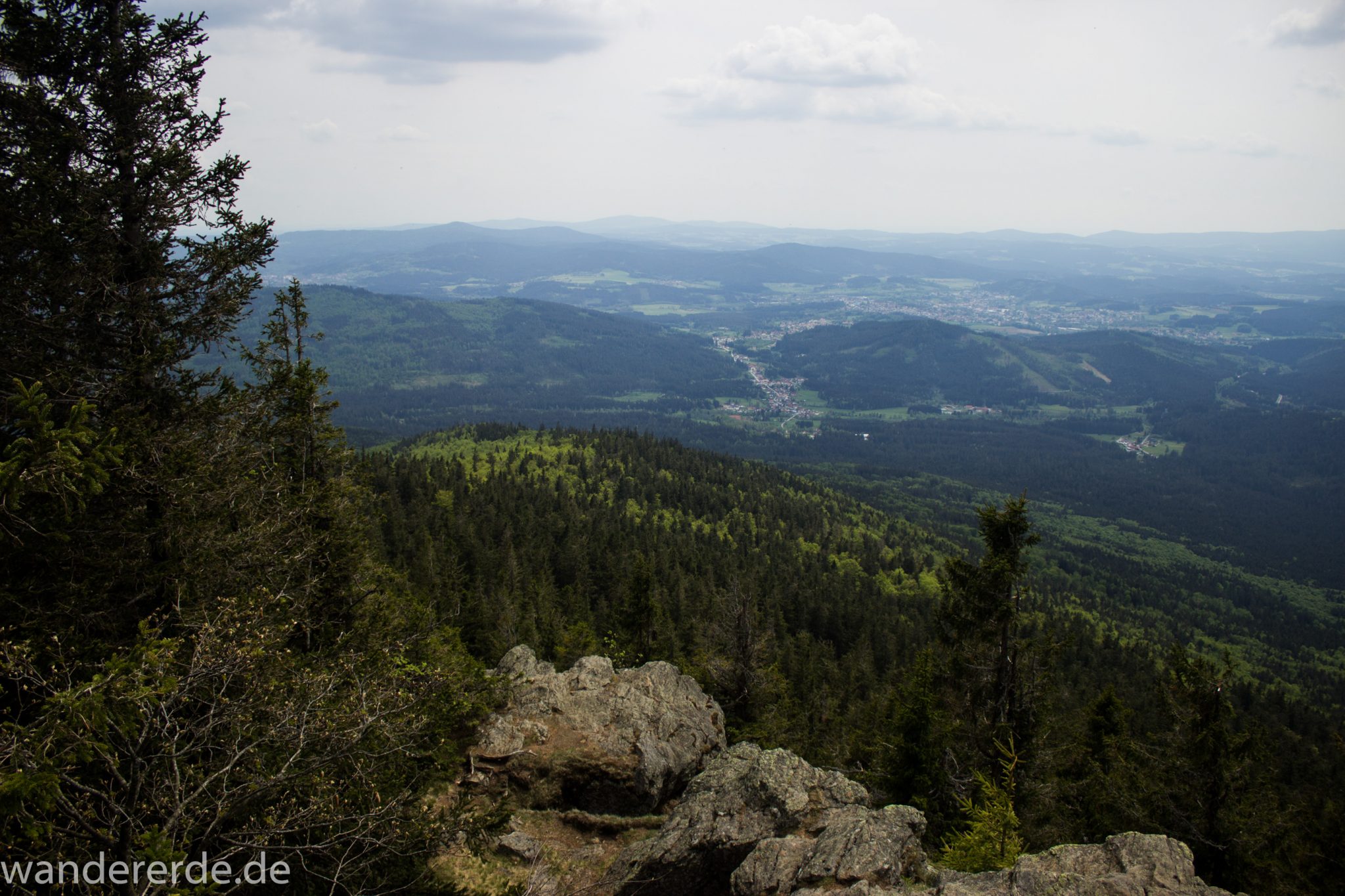 Rundwanderung zum Großen Falkenstein im Bayerischen Wald mit Start beim Zwieslerwaldhaus, über Wanderweg Silberblatt mit traumhaft schönem und dichtem Wald auf den Großen Falkenstein, Aussicht auf das unendlich große Waldgebiet des Bayerischen Waldes, Frühjahr im bayerischen Wald
