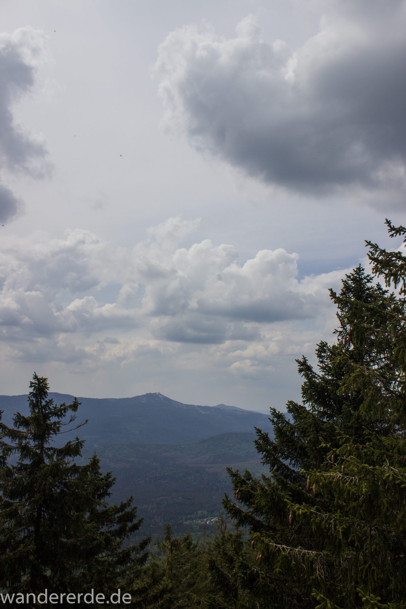Rundwanderung zum Großen Falkenstein im Bayerischen Wald mit Start beim Zwieslerwaldhaus, über Wanderweg Silberblatt mit traumhaft schönem und dichtem Wald auf den Großen Falkenstein, Aussicht auf das unendlich große Waldgebiet des Bayerischen Waldes und den Berg Großer Arber, Frühjahr im Nationalpark Bayerischer Wald