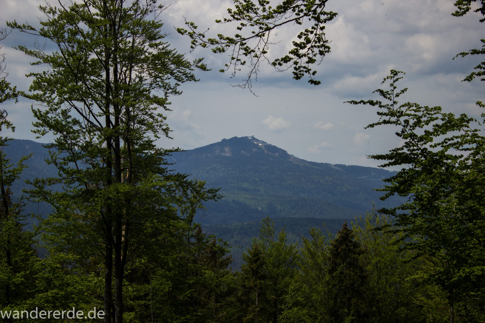 Rundwanderung zum Großen Falkenstein im Bayerischen Wald mit Start beim Zwieslerwaldhaus, Aussicht auf den Großen Arber und die unendlichen Weiten des Bayerischen Waldes während der Rundwanderung zum Großen Falkenstein über den Wanderweg Heidelbeere, traumhaft schöner Wald