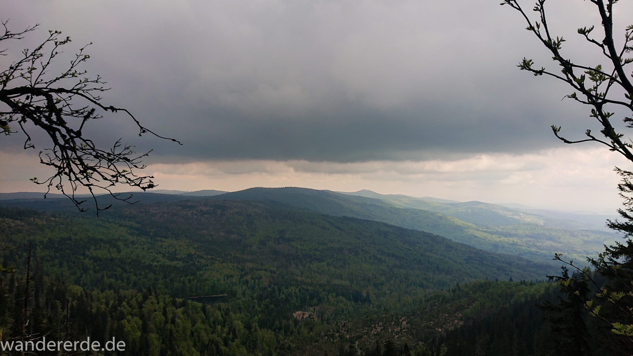Wanderung Großer Rachel im Nationalpark Bayerischer Wald, Start Parkplatz Oberfrauenau, Aussicht auf riesiges Waldgebiet und Berge in der Ferne, schöner dichter Wald