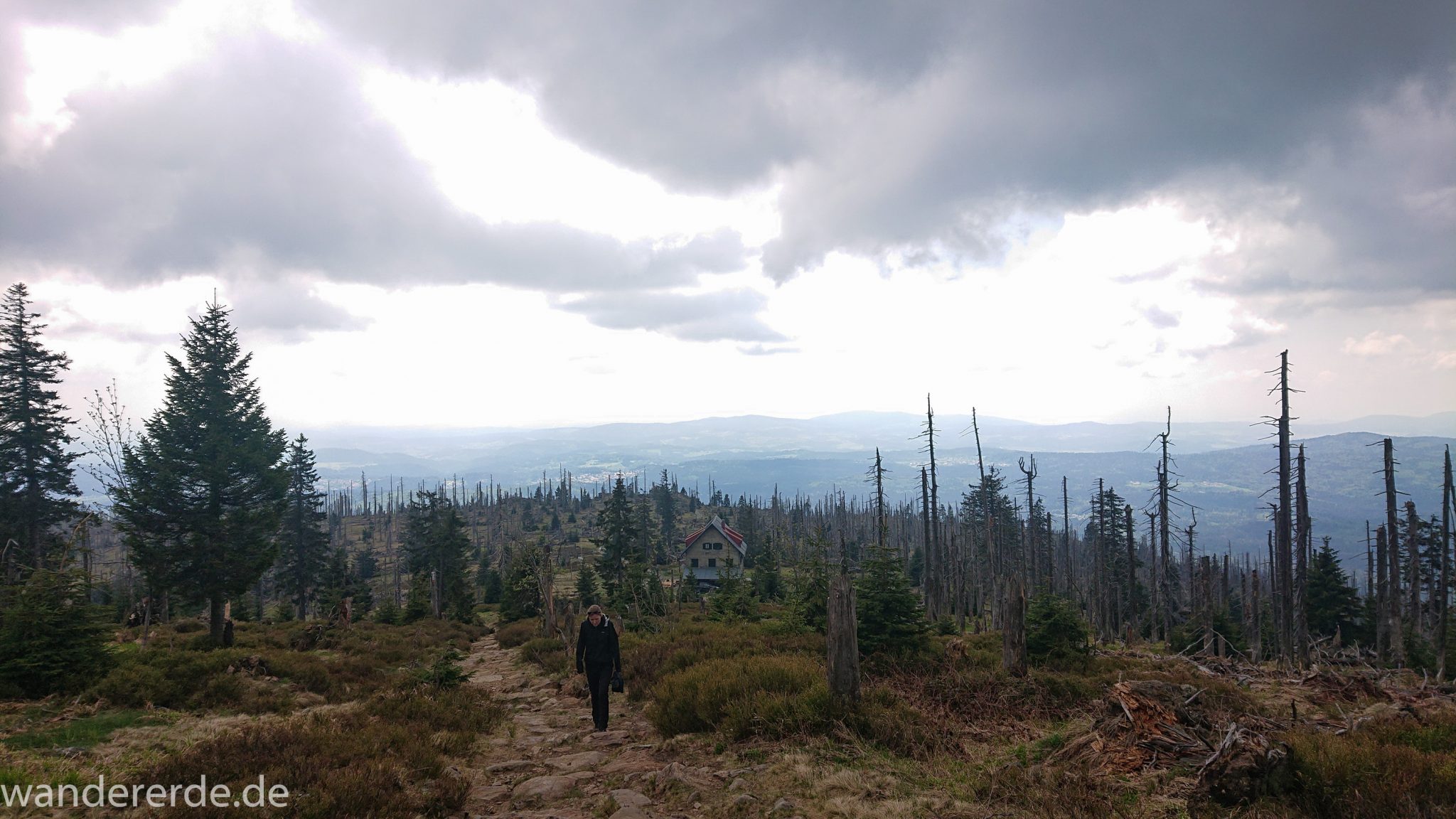 Wanderung Großer Rachel im Nationalpark Bayerischer Wald, Start Parkplatz Oberfrauenau, abwechslungsreicher Wanderweg, auf schmalem Pfad über Stock und Stein, Zerstörung einiger Waldgebiete durch den Borkenkäfer, umgefallene Bäume werden liegen gelassen im Nationalpark, Natur wird sich selbst überlassen, letzter Abschnitt auf den Großen Rachel vom Waldschmidthaus sehr steil über große Steine, weite Aussicht auf Waldgebiet Bayerischer Wald