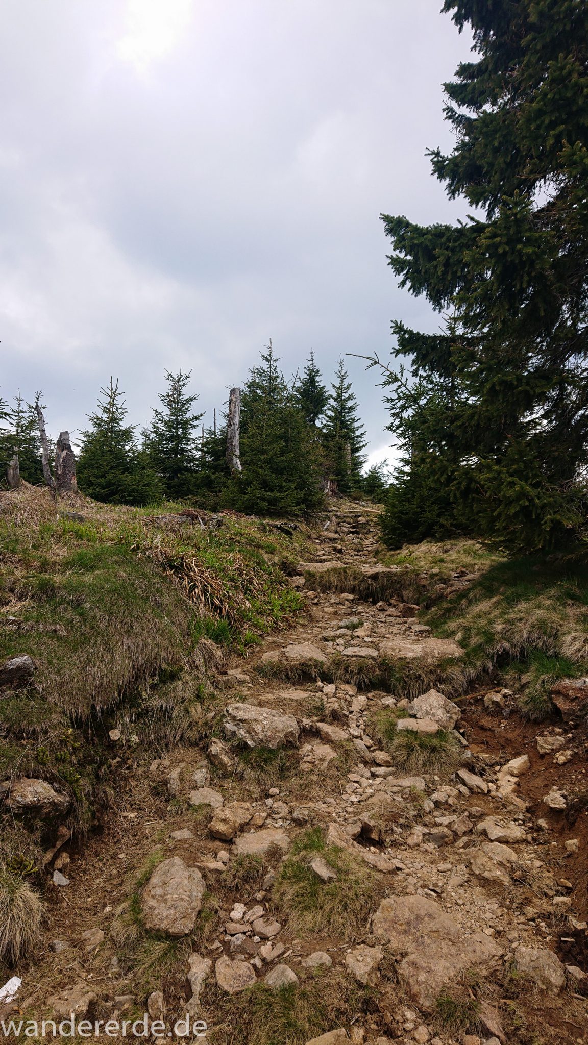 Wanderung Großer Rachel im Nationalpark Bayerischer Wald, Start Parkplatz Oberfrauenau, abwechslungsreicher Wanderweg, auf schmalem Pfad über Stock und Stein, letzter Abschnitt auf den Großen Rachel vom Waldschmidthaus sehr steil über große Steine