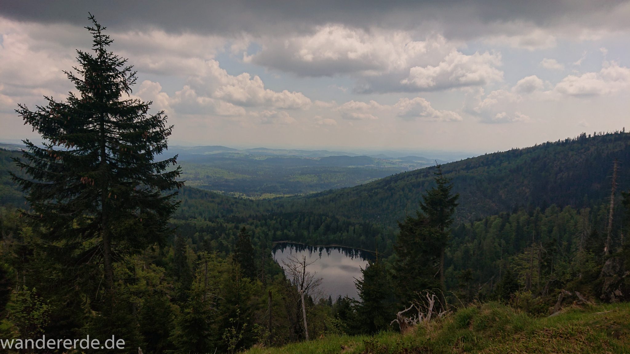 Wanderung Großer Rachel im Nationalpark Bayerischer Wald, Start Parkplatz Oberfrauenau, Aussicht auf den Rachselsee, riesiges Waldgebiet des bayerischen Waldes und Berge in der Ferne, umgeben von schönem dichtem Wald, Mischwald in verschiedensten Grüntönen
