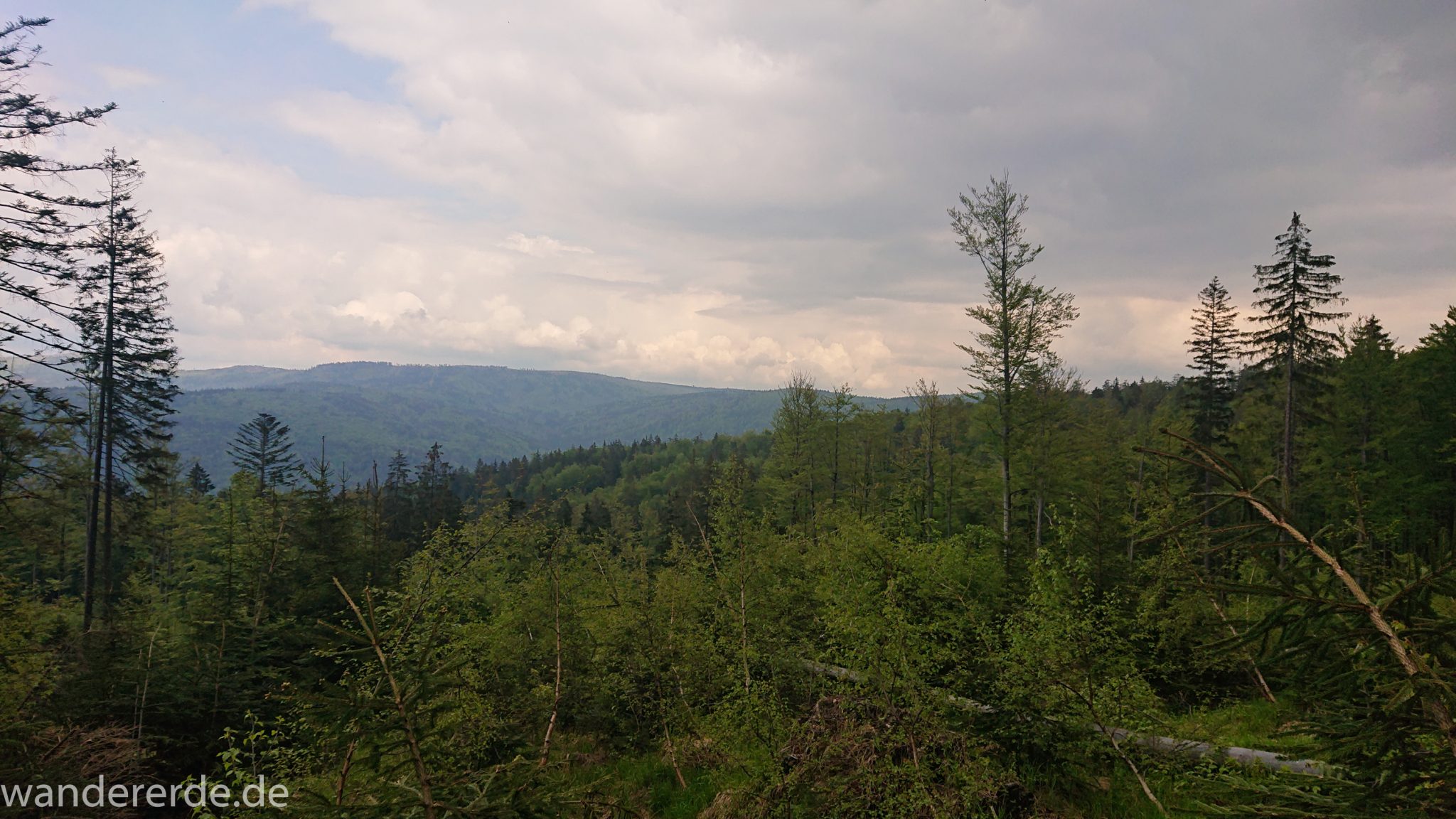 Wanderung Großer Rachel im Nationalpark Bayerischer Wald, Start Parkplatz Oberfrauenau, Aussicht auf riesiges Waldgebiet, schöner dichter Wald