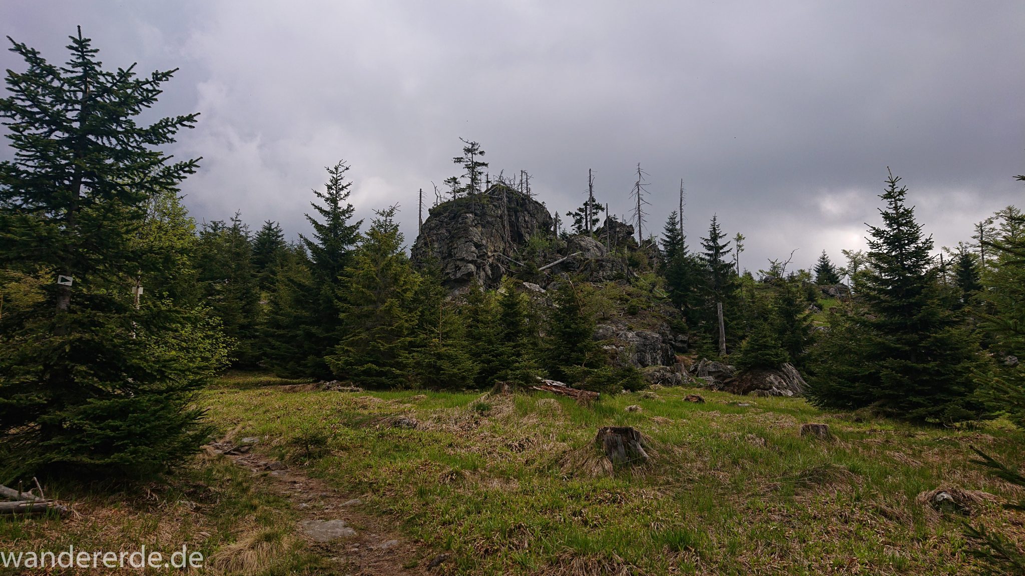 Wanderung Großer Rachel im Nationalpark Bayerischer Wald, Start Parkplatz Oberfrauenau, abwechslungsreicher naturbelassener Wanderweg auf den Berg Großer Rachel, schöner dichter Wald im Nationalpark Bayerischer Wald, Felsen, schmaler Wanderpfad, Wegmarkierung grünes Dreieck