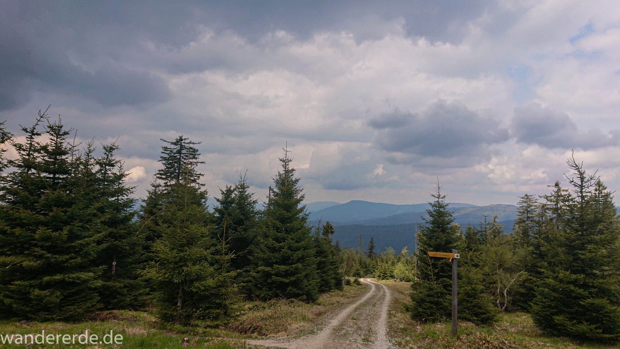 Wanderung Großer Rachel im Nationalpark Bayerischer Wald, Start Parkplatz Oberfrauenau, abwechslungsreicher naturbelassener Wanderweg auf den Berg Großer Rachel, schöner dichter Wald im Nationalpark Bayerischer Wald, Wegmarkierung grünes Dreieck, weite Aussicht auf großes Waldgebiet und Berge in der Ferne