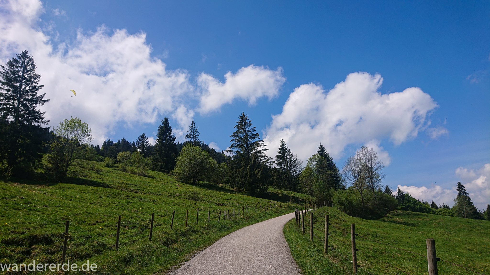 Wanderung zur Kenzenhütte in den Ammergauer Alpen, Weg entlang schmaler Straße, umgeben von grünem Weideland, Bäume, schöner Frühlingstag