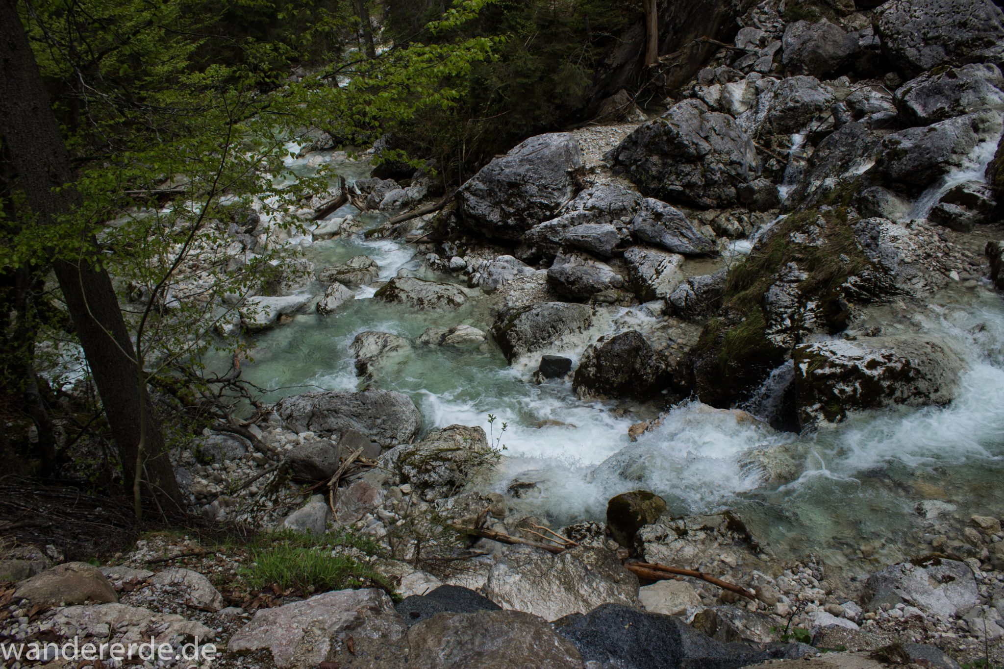 Wanderung zur Kenzenhütte in den Ammergauer Alpen, kleiner Wasserfall in idyllischem Wald, Gehölz und Steine, Laubbaum, klares Wasser bahnt sich seinen Weg ins Tal