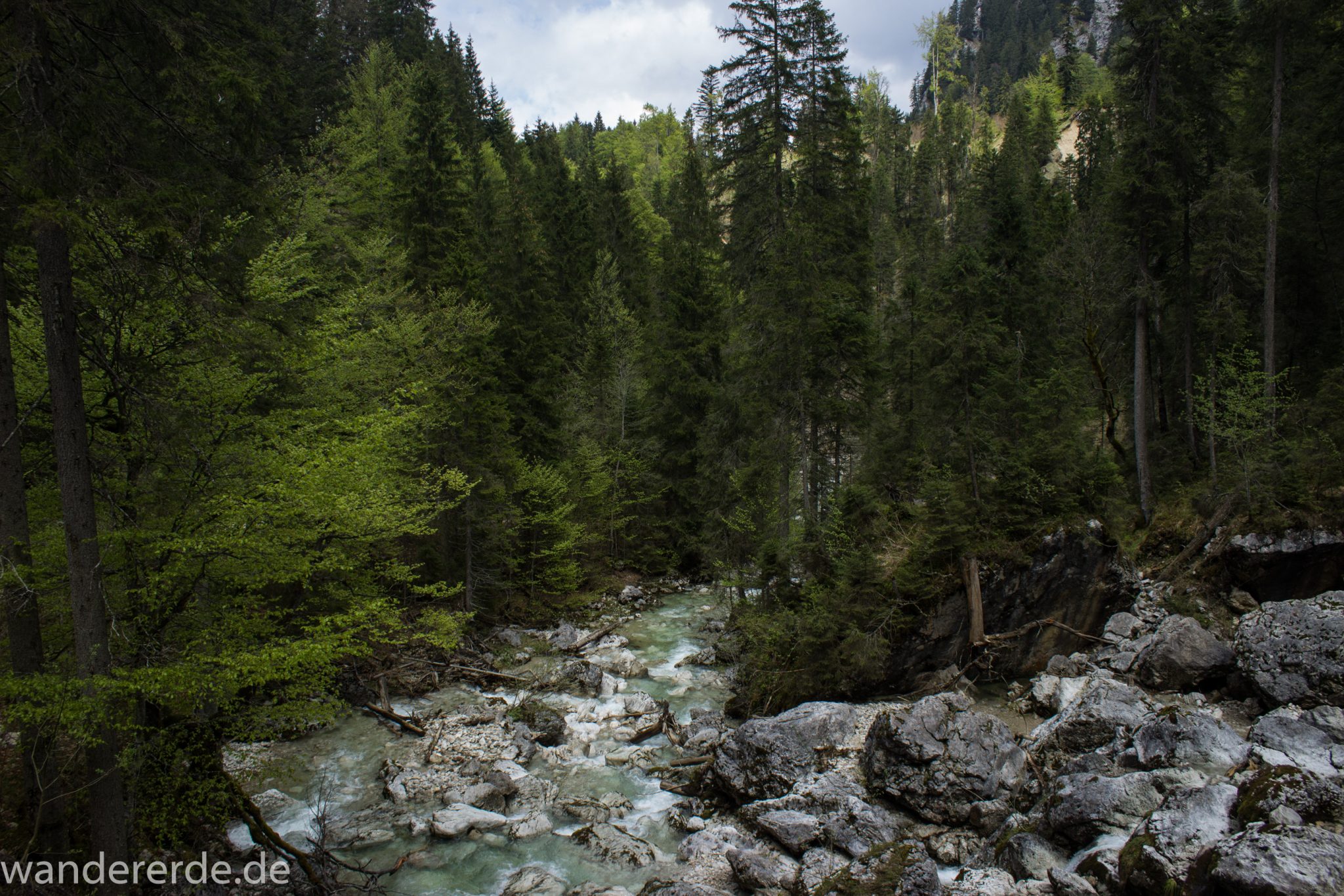 Wanderung zur Kenzenhütte in den Ammergauer Alpen, Gebirgsbach führt durch idyllischen Wald, Gehölz und Steine, Laubbaum, Nadelbaum, klares Wasser bahnt sich seinen Weg ins Tal