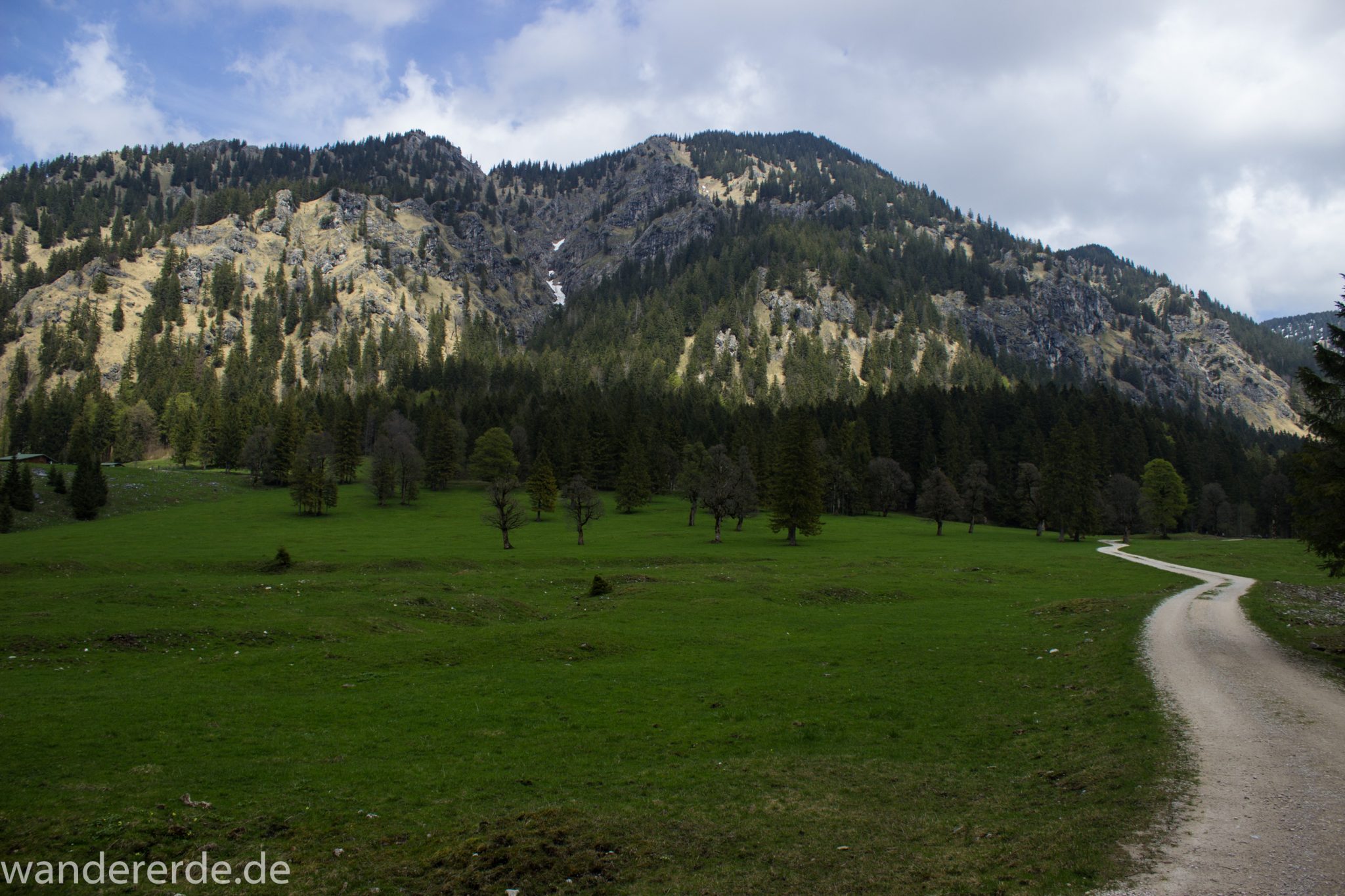 Wanderung zur Kenzenhütte in den Ammergauer Alpen, breiterer Kieselweg führt Richtung Berge, Frühjahr in den Alpen, dichter grüner Wald und saftige Wiesen