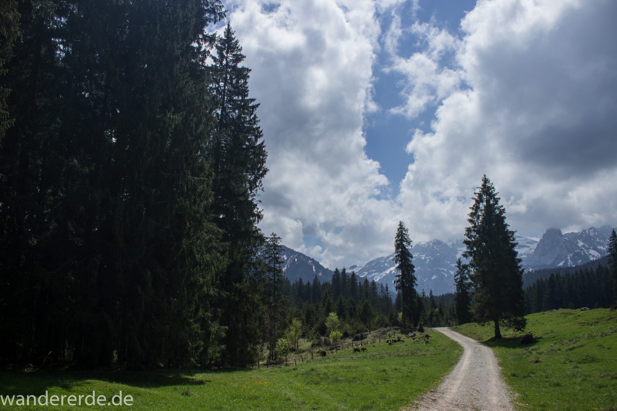 Wanderung zur Kenzenhütte in den Ammergauer Alpen, breiterer Kieselweg führt Richtung Berge, teils schneebedeckte Gipfel im Frühjahr, dichter grüner Wald und saftige Wiesen
