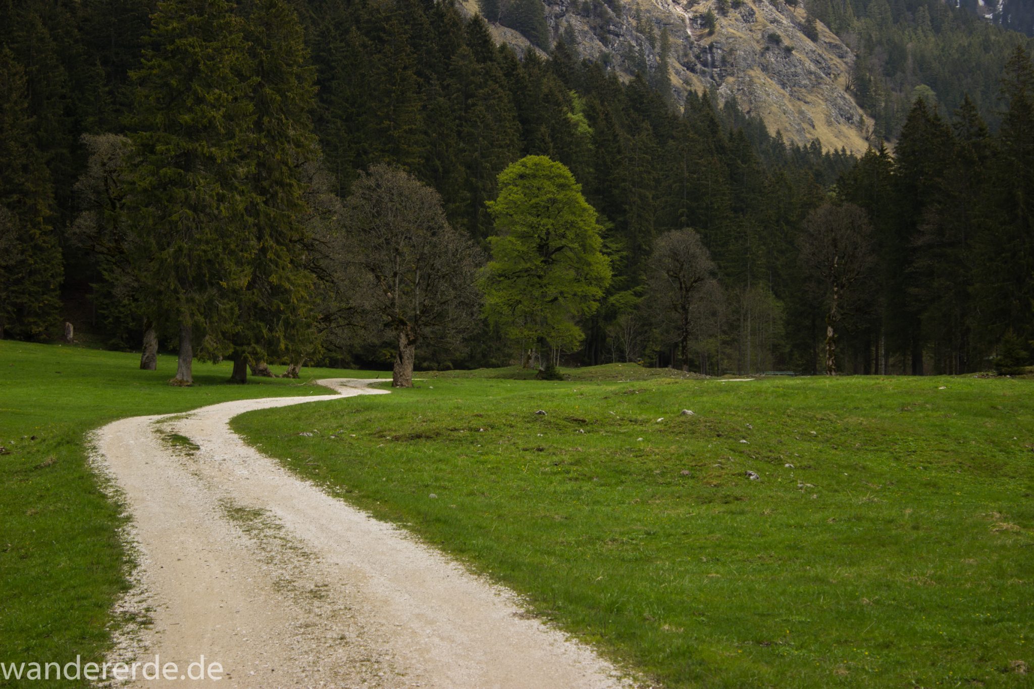 Wanderung zur Kenzenhütte in den Ammergauer Alpen, breiterer Kieselweg führt Richtung Berge, Frühjahr in den Ammergauer Alpen in Bayern, dichter grüner Wald und saftige Wiesen