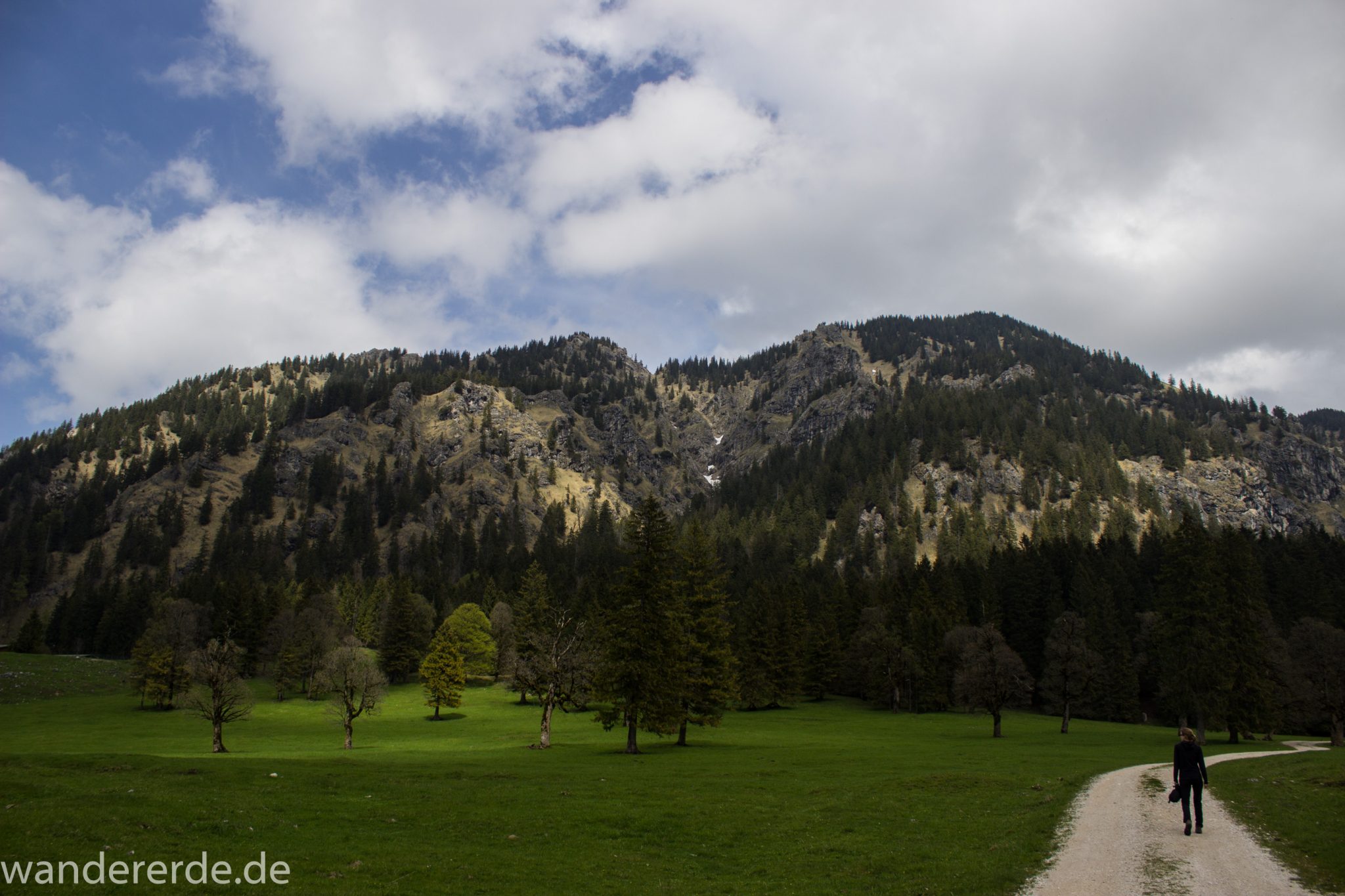 Wanderung zur Kenzenhütte in den Ammergauer Alpen, breiterer Kieselweg führt Richtung Berge, Frühjahr in den Ammergauer Alpen in Bayern, dichter grüner Wald und saftige Wiesen