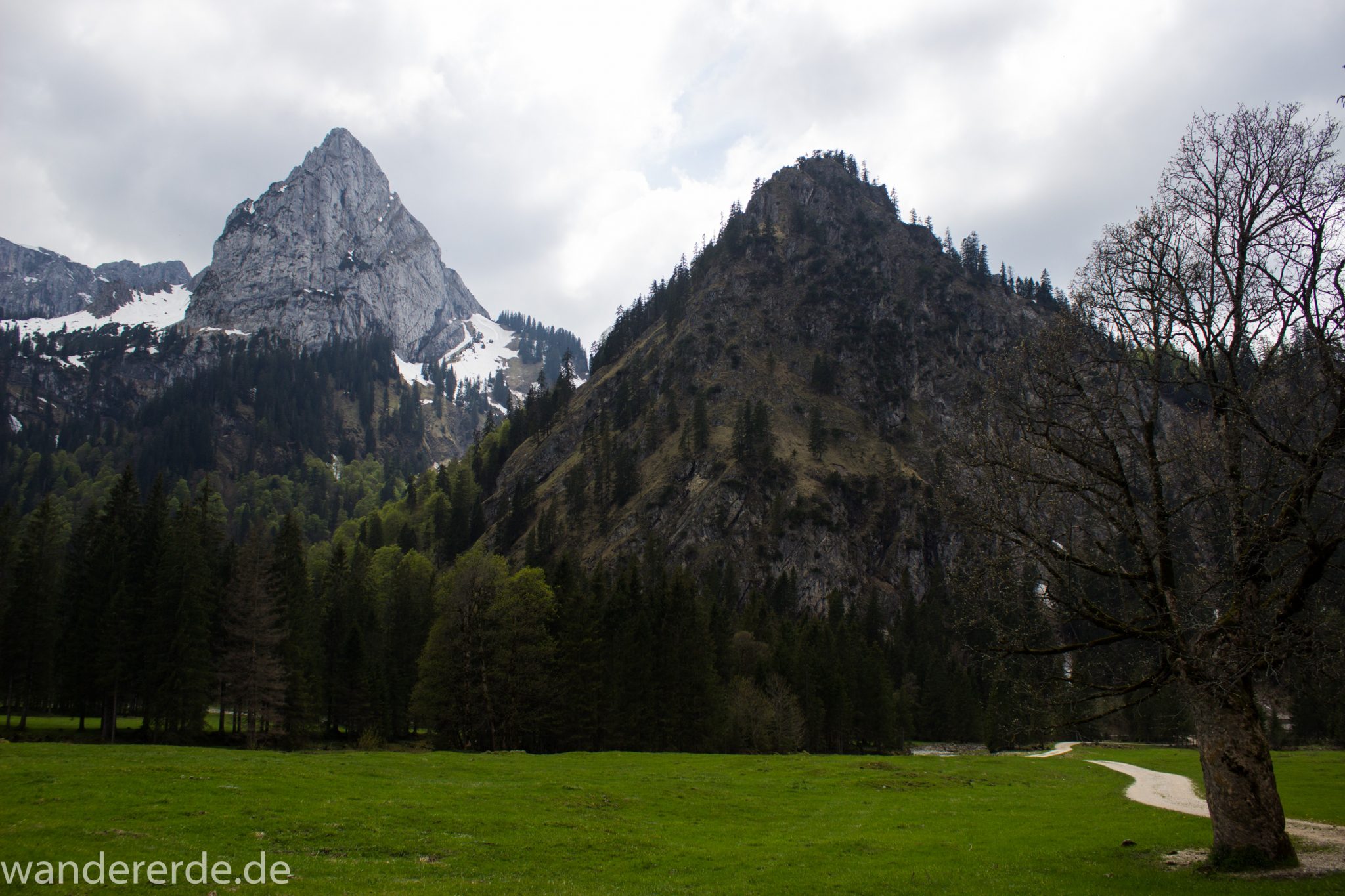 Wanderung zur Kenzenhütte in den Ammergauer Alpen, Aussicht auf die Berge, spitzer Gipfel, Frühjahr in den bayerischen Alpen, Wanderweg führt zu dichtem grünen Wald und entlang saftiger Wiesen