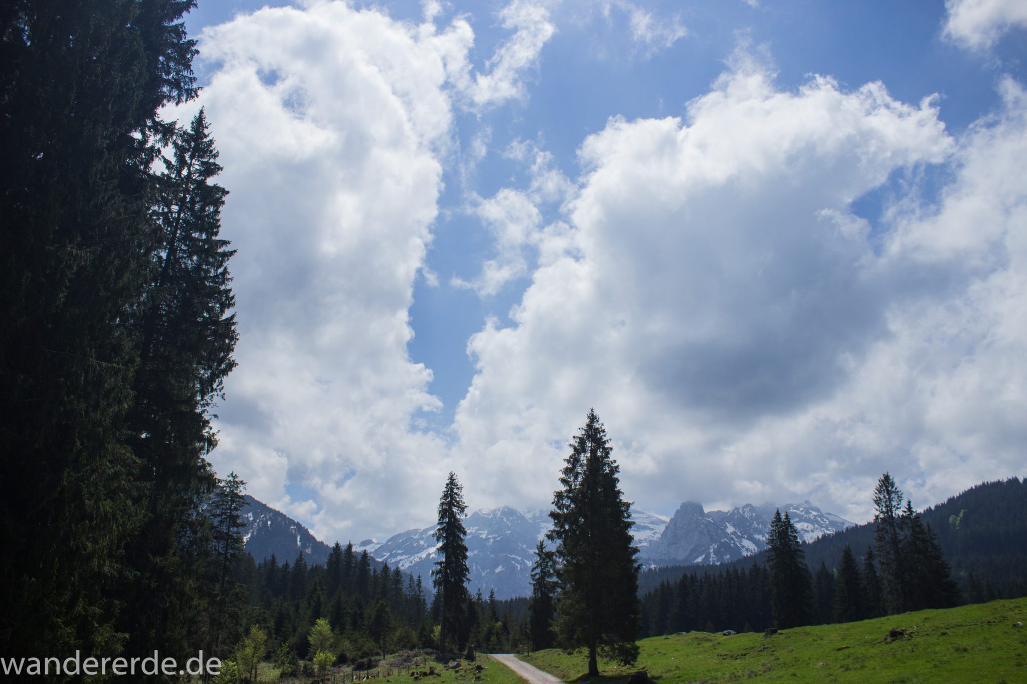 Wanderung zur Kenzenhütte in den Ammergauer Alpen, breiterer Kieselweg führt Richtung Berge, teils schneebedeckte Gipfel in Wolken gehüllt, Frühjahr in den bayerischen Alpen, dichter grüner Wald und saftige Wiesen