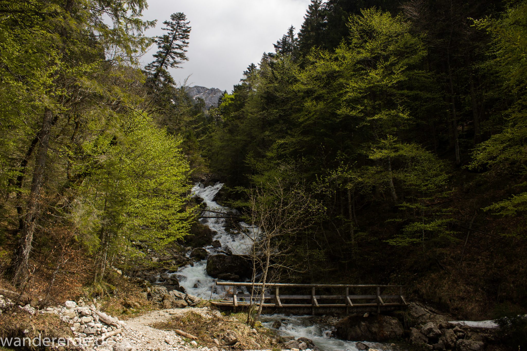 Wanderung zur Kenzenhütte in den Ammergauer Alpen, Aussicht auf die Berge im Hintergrund, schmale kleine Brücke führt über schnell fließendem Bach, Frühjahr in den bayerischen Alpen, dichter grüner Wald und saftige Wiesen, Wanderweg oftmals am schönen, idyllischem Bach entlang