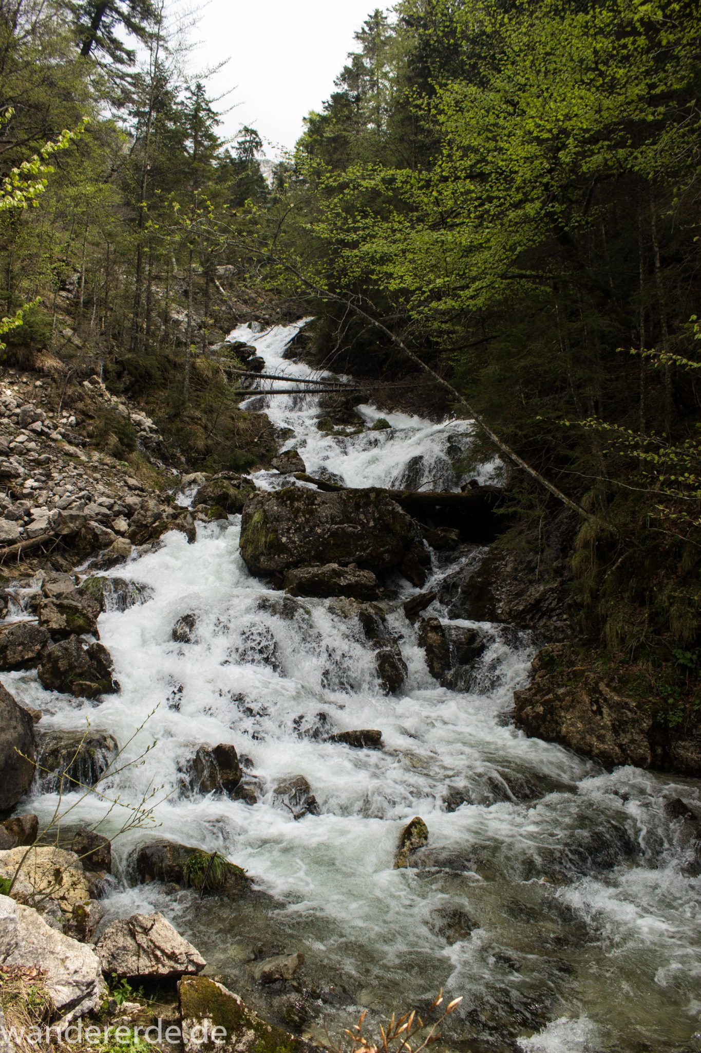 Wanderung zur Kenzenhütte in den Ammergauer Alpen, kleiner Wasserfall in idyllischem Wald, Gehölz und Steine, Laubbäume, klares Wasser bahnt sich seinen Weg ins Tal