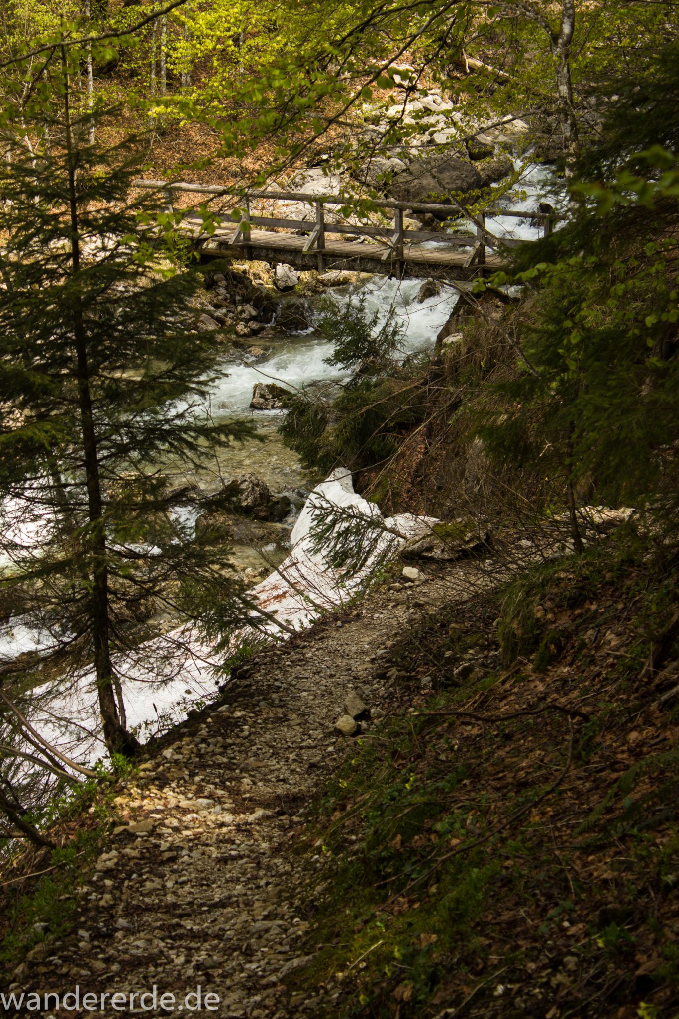 Wanderung zur Kenzenhütte in den Ammergauer Alpen, schmale kleine Brücke führt über schnell fließendem Bach, Frühjahr in den bayerischen Alpen, dichter grüner Wald und saftige Wiesen, Wanderweg oftmals am schönen, idyllischem Bach entlang