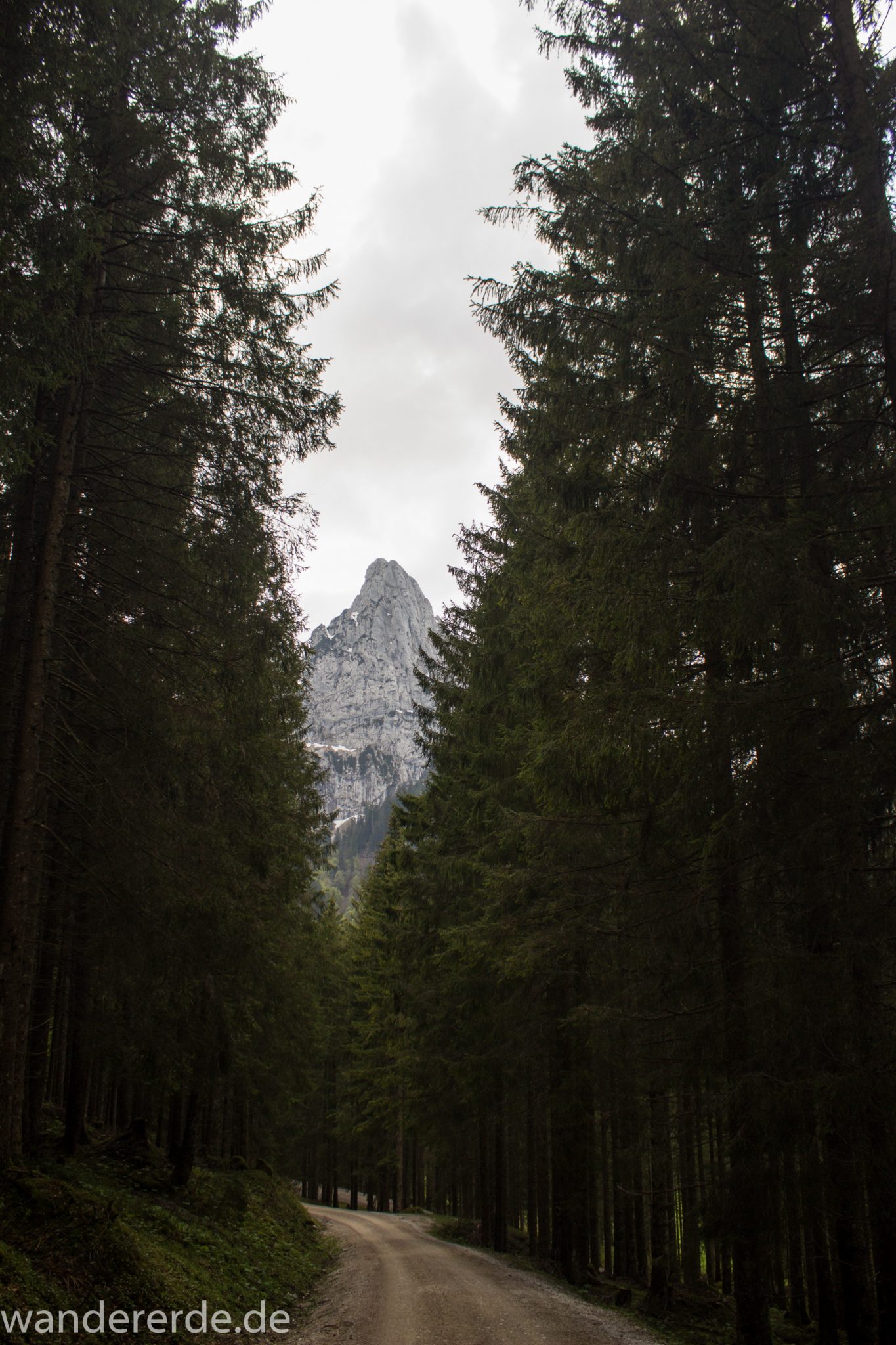 Wanderung zur Kenzenhütte in den Ammergauer Alpen, breiterer Kieselweg führt Richtung Berge, Berge in Wolken gehüllt, Frühjahr in den bayerischen Alpen, dichter grüner Wald verschafft tolle Atmosphäre
