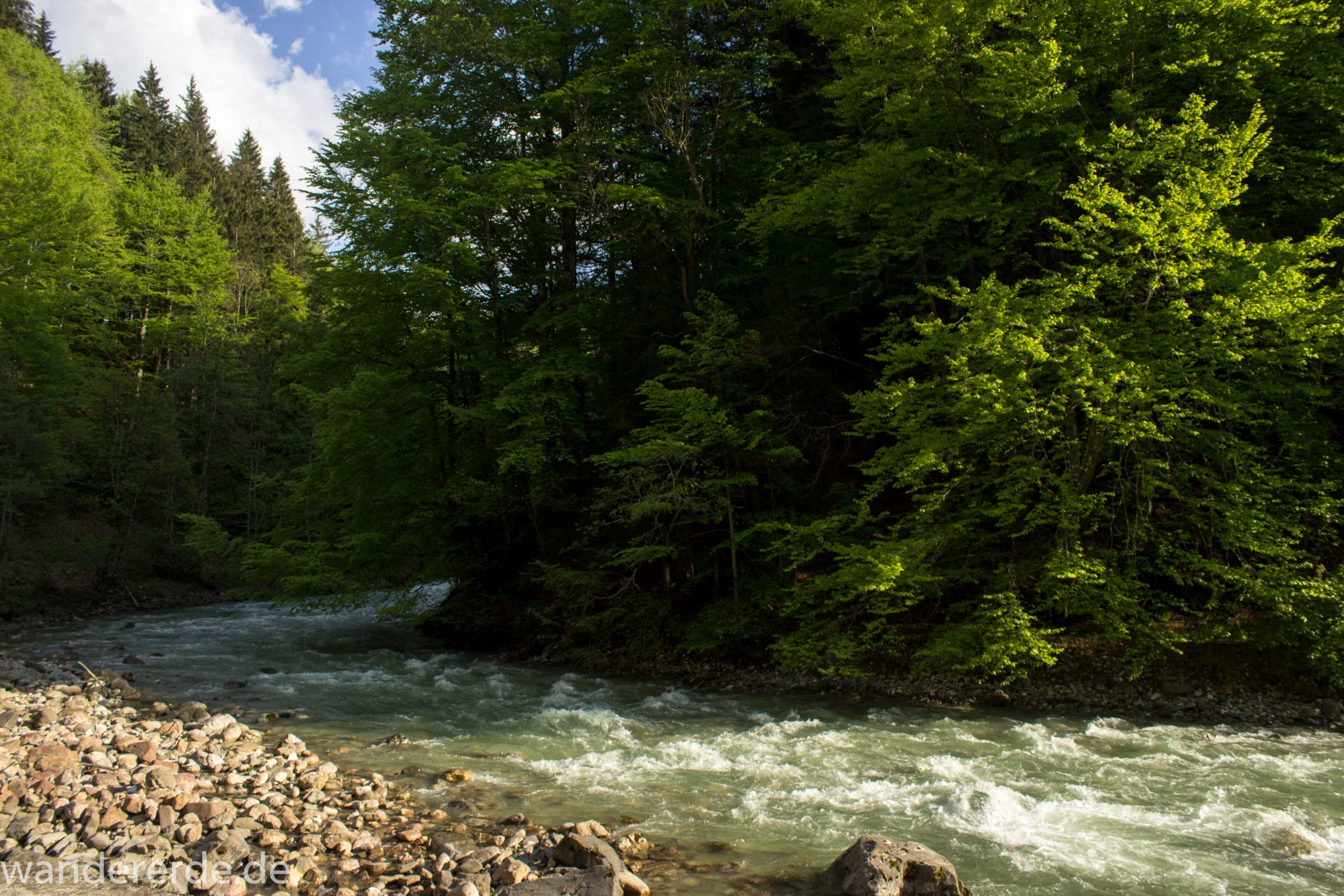 Wanderung zur Kenzenhütte in den Ammergauer Alpen, Frühjahr in den bayerischen Alpen, dichter grüner Wald, schöne Laubbäume, Wanderweg führt entlang schönen, idyllischem Fluss Halblech