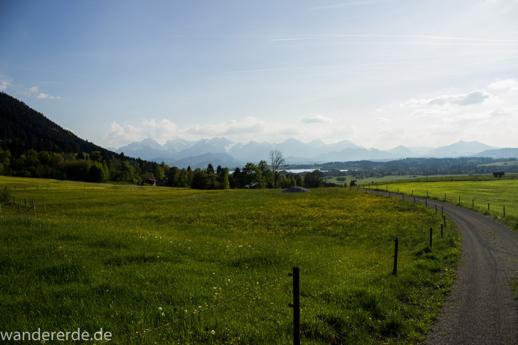 Wanderung zur Kenzenhütte in den Ammergauer Alpen, Weg entlang schmalem Kieselweg umgeben von saftigem, grünem Weideland und Bäumen, Aussicht auf die schönen bayerischen Berge in der Ferne, schöner Frühlingstag