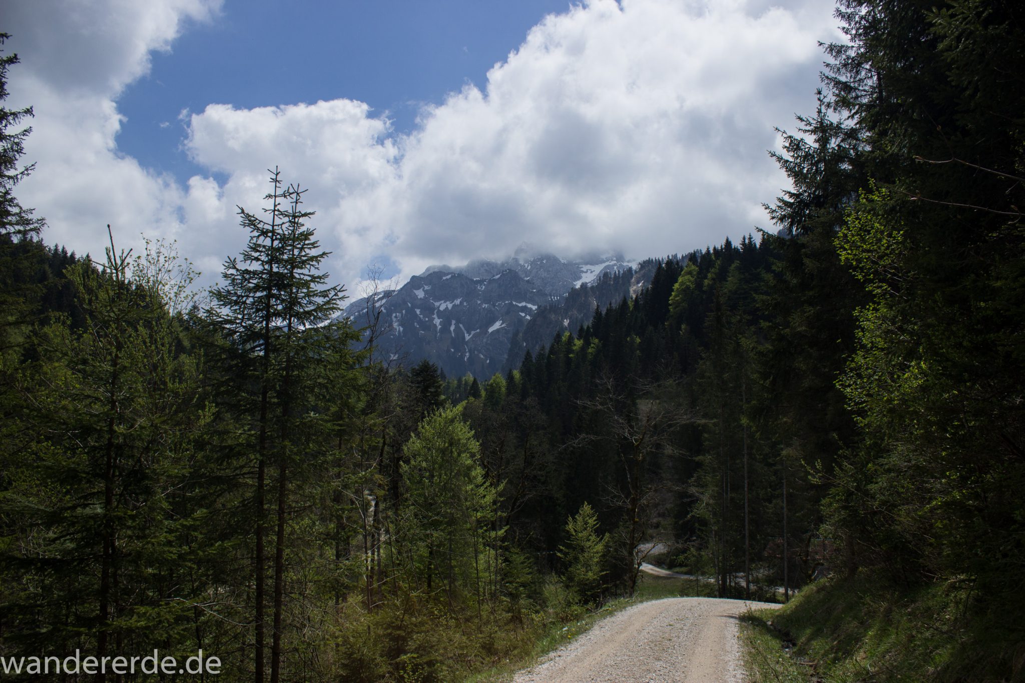 Wanderung zur Kenzenhütte in den Ammergauer Alpen, breiter Kieselweg führt Richtung Berge, teils schneebedeckte Gipfel in Wolken gehüllt, Frühjahr in den bayerischen Alpen, umgeben von dichtem grünem Wald und saftigen Wiesen
