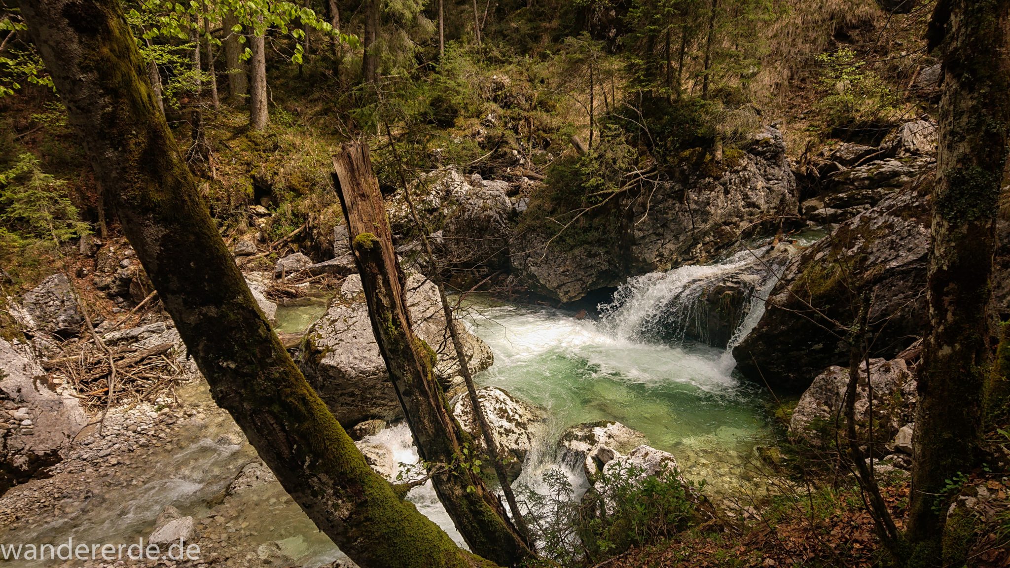 Wanderung zur Kenzenhütte in den Ammergauer Alpen, kleiner Wasserfall in idyllischem Wald, Gehölz und Steine, Laubbaum ragt ins Bild