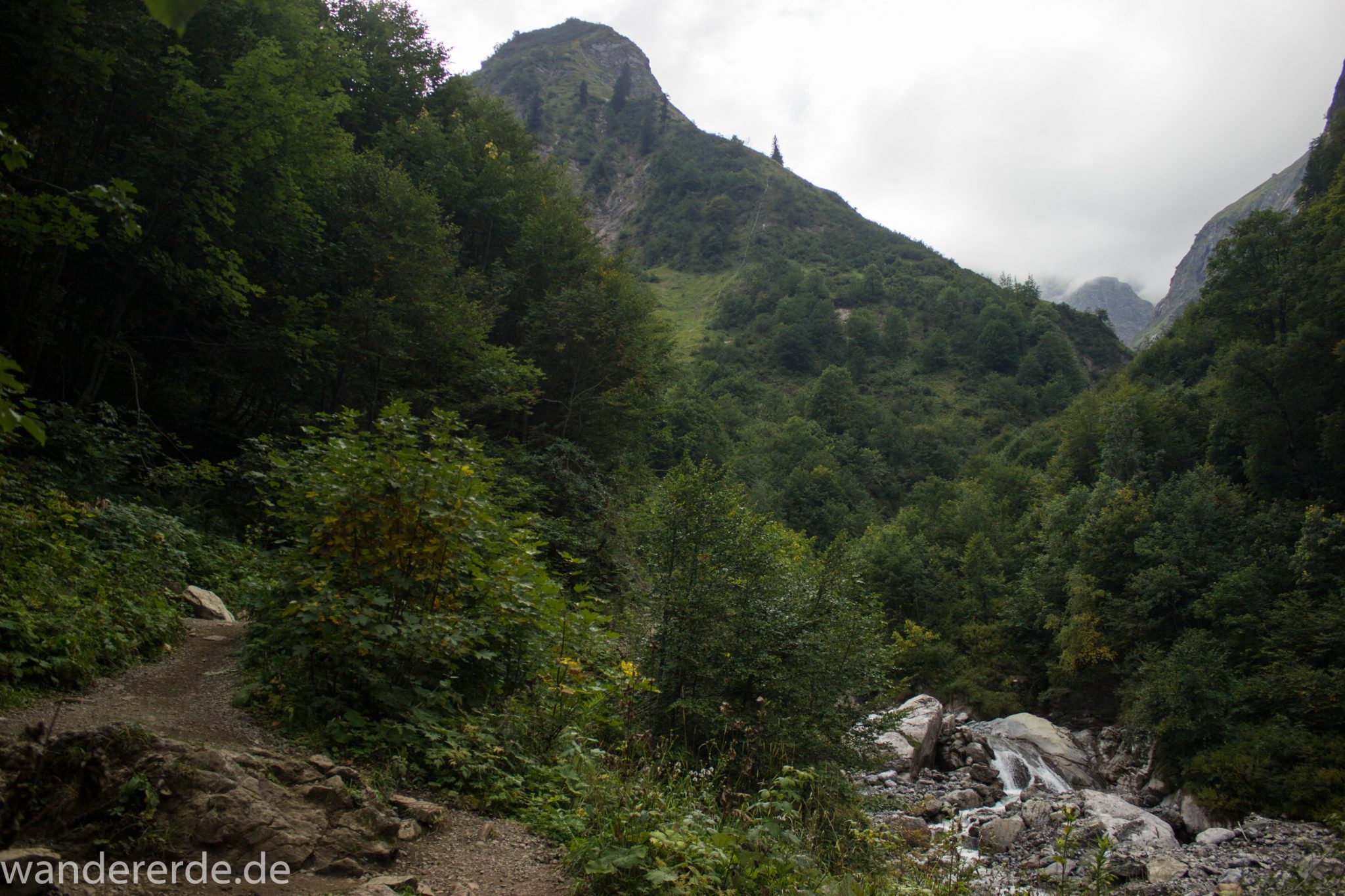 Alpenüberquerung Fernwanderweg E5 Oberstdorf Meran, 1. Etappe von Oberstdorf zur Kemptner Hütte, Wanderweg führt von der Spielmannsau bei Oberstdorf im Allgäu zur Kemptner Hütte  entlang eines schmalen Wanderpfads über Stock und Stein, am Fluss entlang, umgeben von saftig grüner Vegetation, beinahe wie im Dschungel, schöner, dichter Wald, Aussicht auf die Berge im Allgäu, Bayern