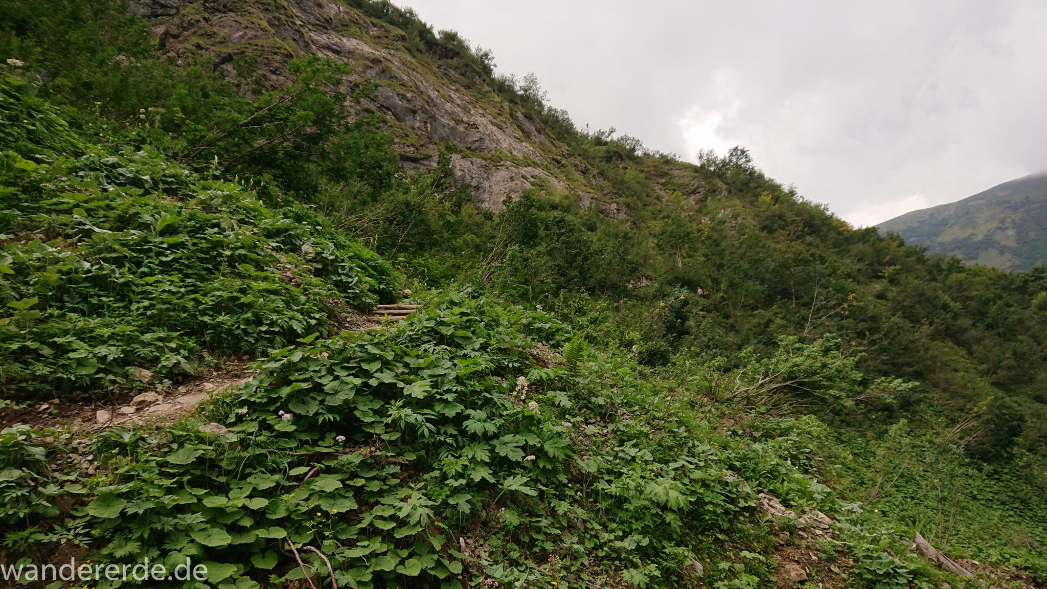 Alpenüberquerung Fernwanderweg E5 Oberstdorf Meran, 1. Etappe von Oberstdorf zur Kemptner Hütte, Wanderweg führt von der Spielmannsau bei Oberstdorf im Allgäu zur Kemptner Hütte entlang eines schmalen Wanderpfads über Stock und Stein, umgeben von saftig grüner Vegetation, beinahe wie im Dschungel, schöner, dichter Wald, Farne