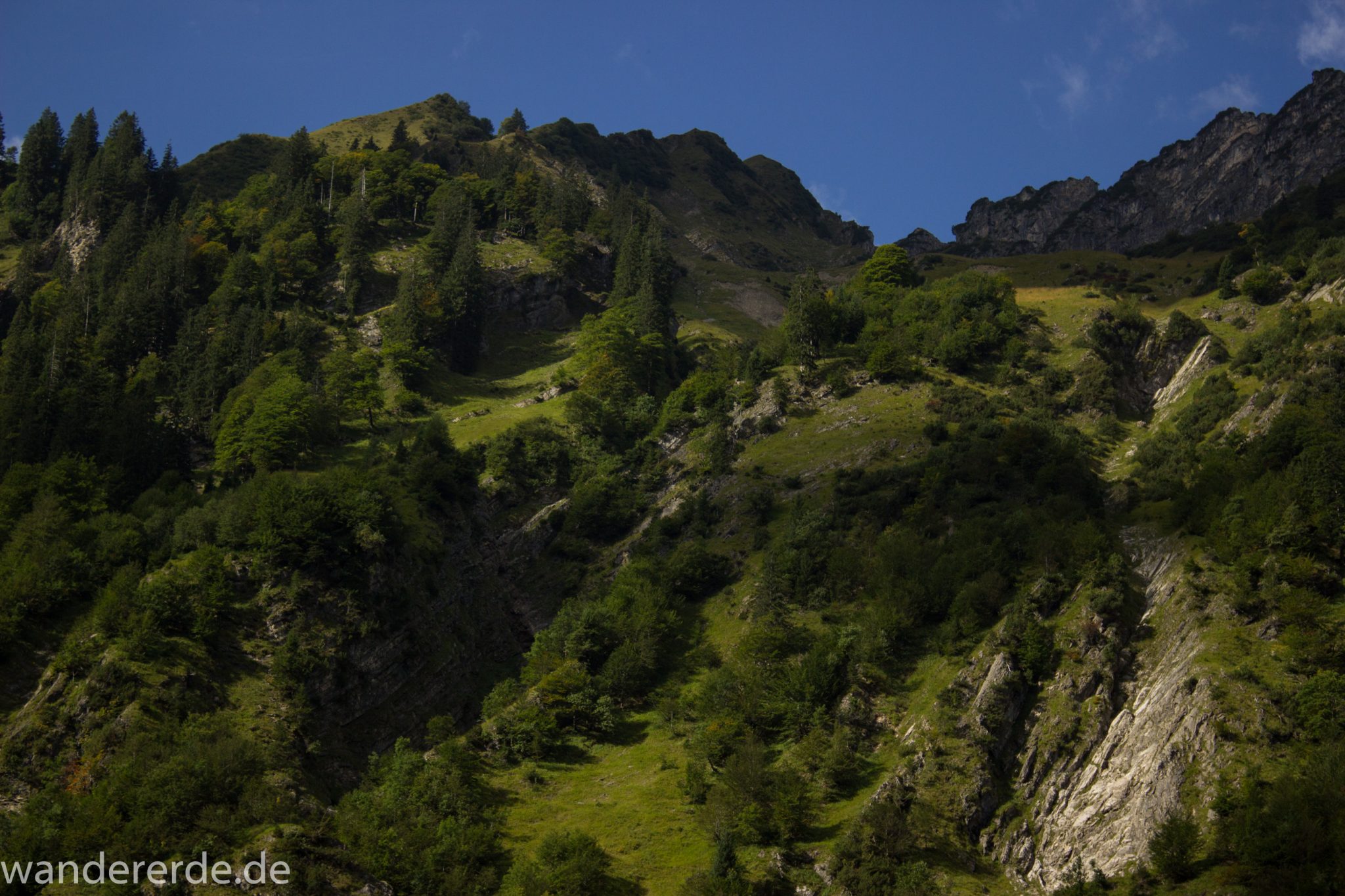 Alpenüberquerung Fernwanderweg E5 Oberstdorf Meran, 1. Etappe von Oberstdorf zur Kemptner Hütte, Wanderweg von Oberstdorf zur Spielmannsau führt entlang saftig grüner Wiesen im Allgäu umgeben von grünem Wald, Aussicht auf die Berge im Allgäu, Bayern