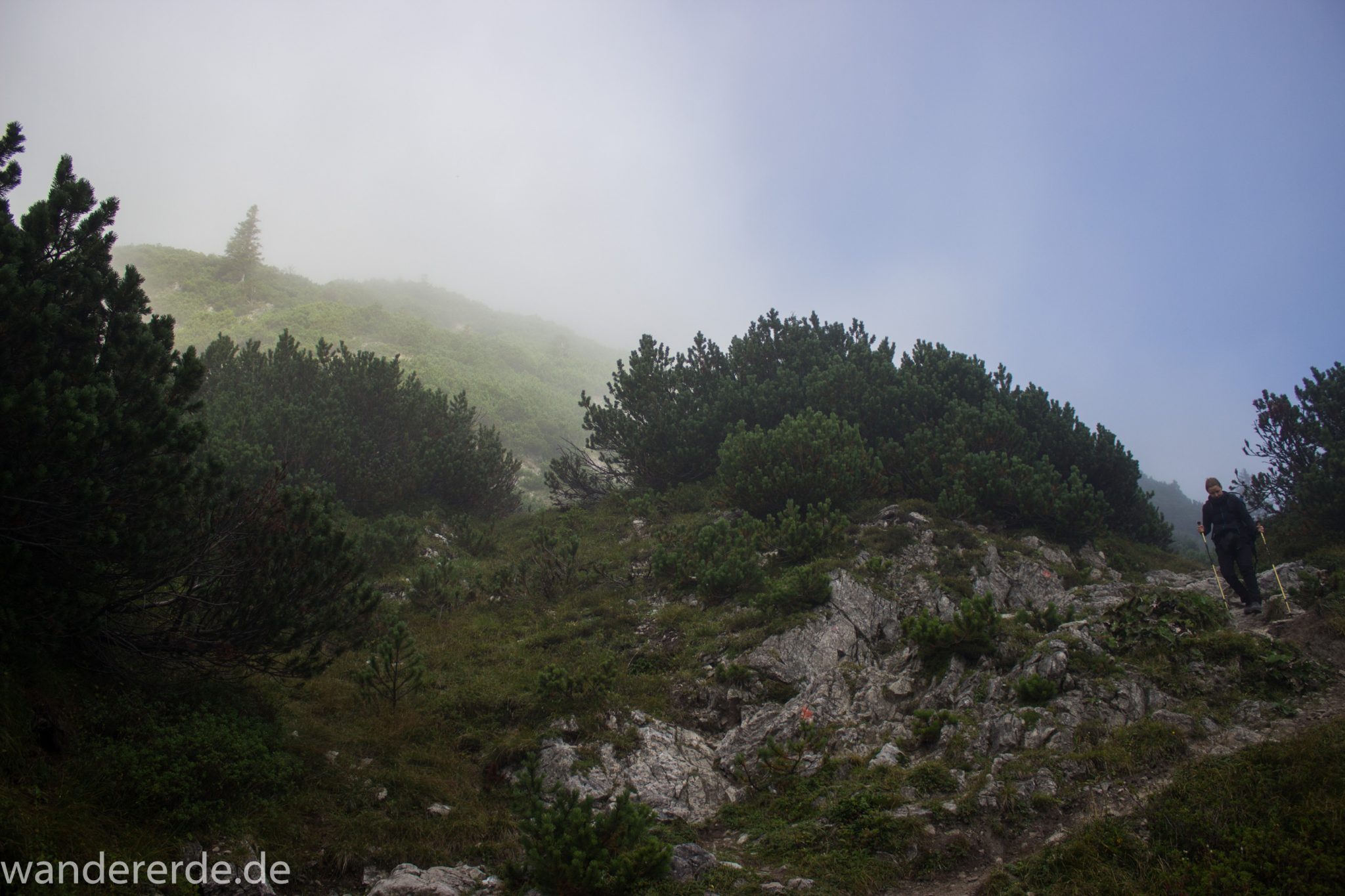 Alpenüberquerung Fernwanderweg E5 Oberstdorf Meran, 2. Etappe von Kemptner Hütte zur Memminger Hütte, Wanderer auf schönem, schmalem und abwechslungsreichem Wanderweg nach Passierung des Mädelejochs, umliegende Berge in Wolken gehüllt, grüne Vegetation abseits Zivilisation, Wanderung mit eingeschränkter Sicht wegen Nebel, beeindruckende Landschaft in den Bergen