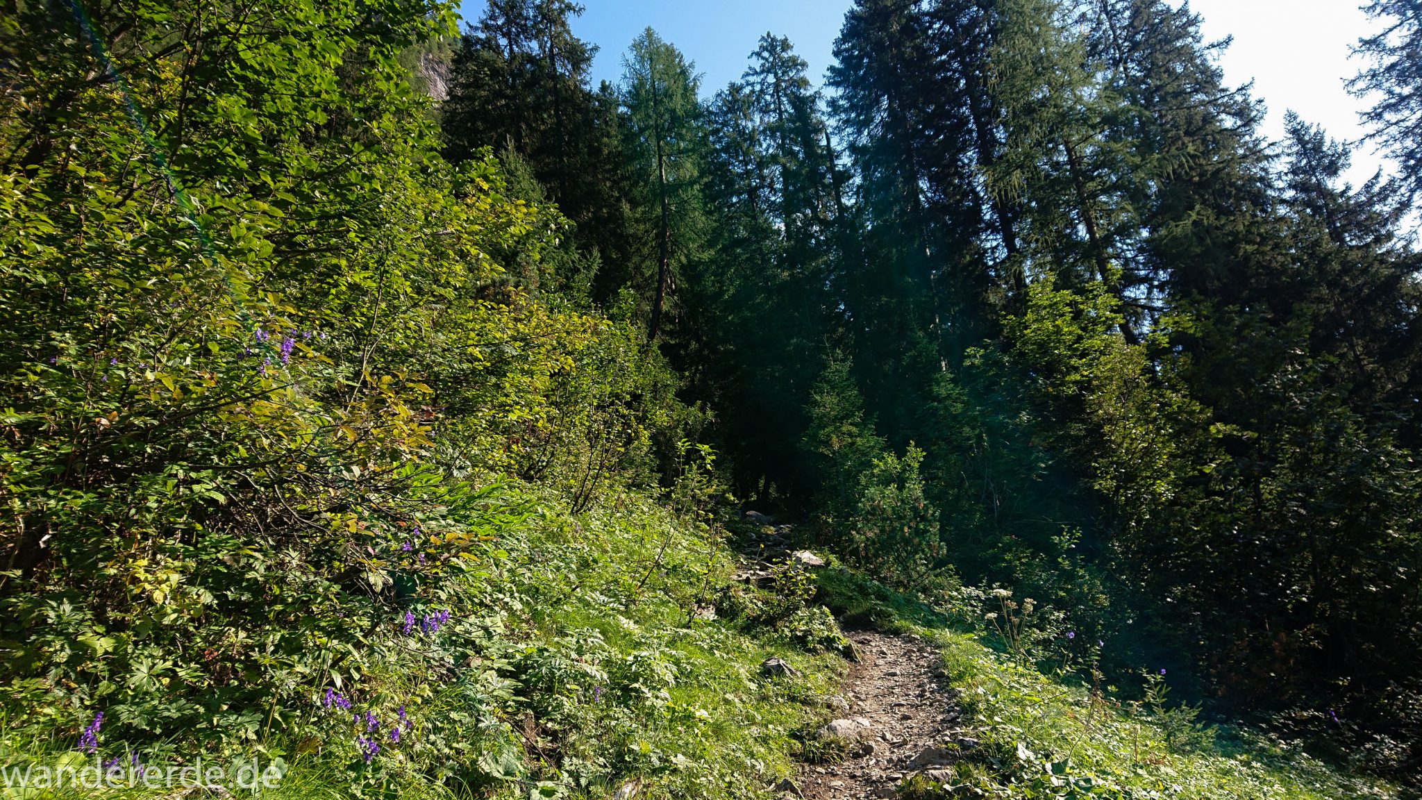 Alpenüberquerung Fernwanderweg E5 Oberstdorf Meran, 2. Etappe von Kemptner Hütte zur Memminger Hütte, schöner abwechslungsreicher und schmaler Wanderweg führt ab der Materialseilbahn der Memminger Hütte zunächst mäßig, dann steiler bergauf zur Memminger Hütte, Möglichkeit des Gepäcktransports mit der Materialseilbahn, idyllische Landschaft und grüne Vegetation, saftige Wiese und schöner grüner Wald