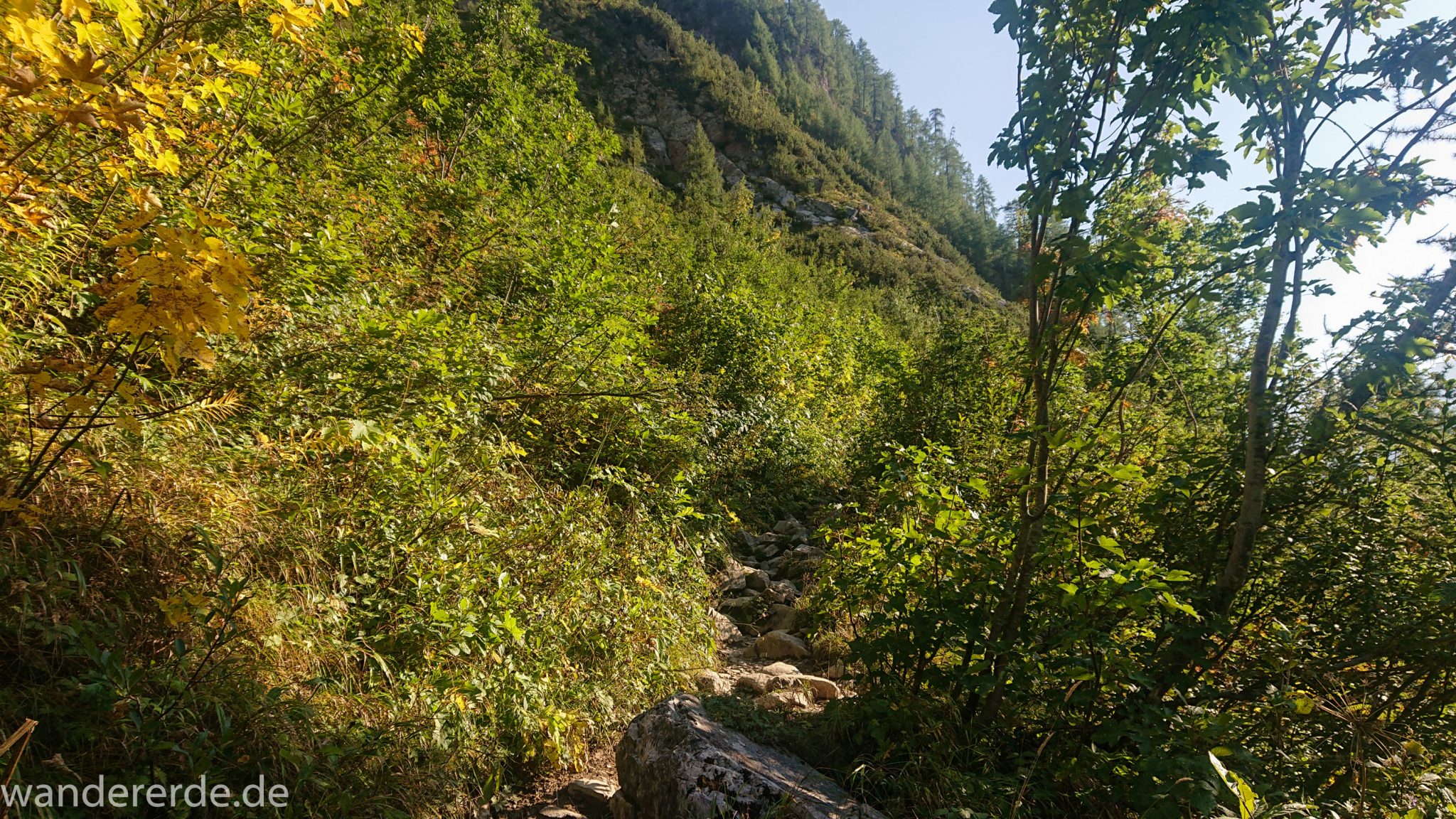 Alpenüberquerung Fernwanderweg E5 Oberstdorf Meran, 2. Etappe von Kemptner Hütte zur Memminger Hütte, schöner abwechslungsreicher und schmaler Wanderweg führt über Stock und Stein ab der Materialseilbahn der Memminger Hütte zunächst mäßig, dann steiler bergauf zur Memminger Hütte, Möglichkeit des Gepäcktransports mit der Materialseilbahn, idyllische Landschaft und grüne Vegetation, saftige Wiese und schöner grüner und dichter Wald