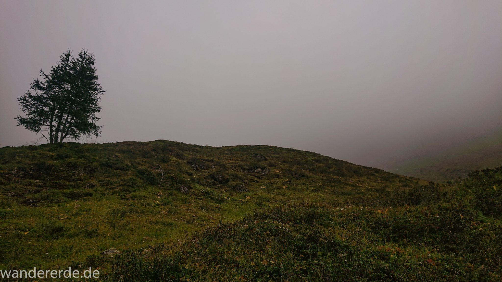 Alpenüberquerung Fernwanderweg E5 Oberstdorf Meran, 2. Etappe von Kemptner Hütte zur Memminger Hütte, schöner abwechslungsreicher und schmaler Wanderweg führt über Stock und Stein ab der Materialseilbahn der Memminger Hütte zunächst mäßig, dann steiler bergauf zur Memminger Hütte, am späteren Nachmittag werden Berge langsam von aufziehenden Wolken verhangen, einzelner Baum kurz davor vom Nebel verhüllt zu werden