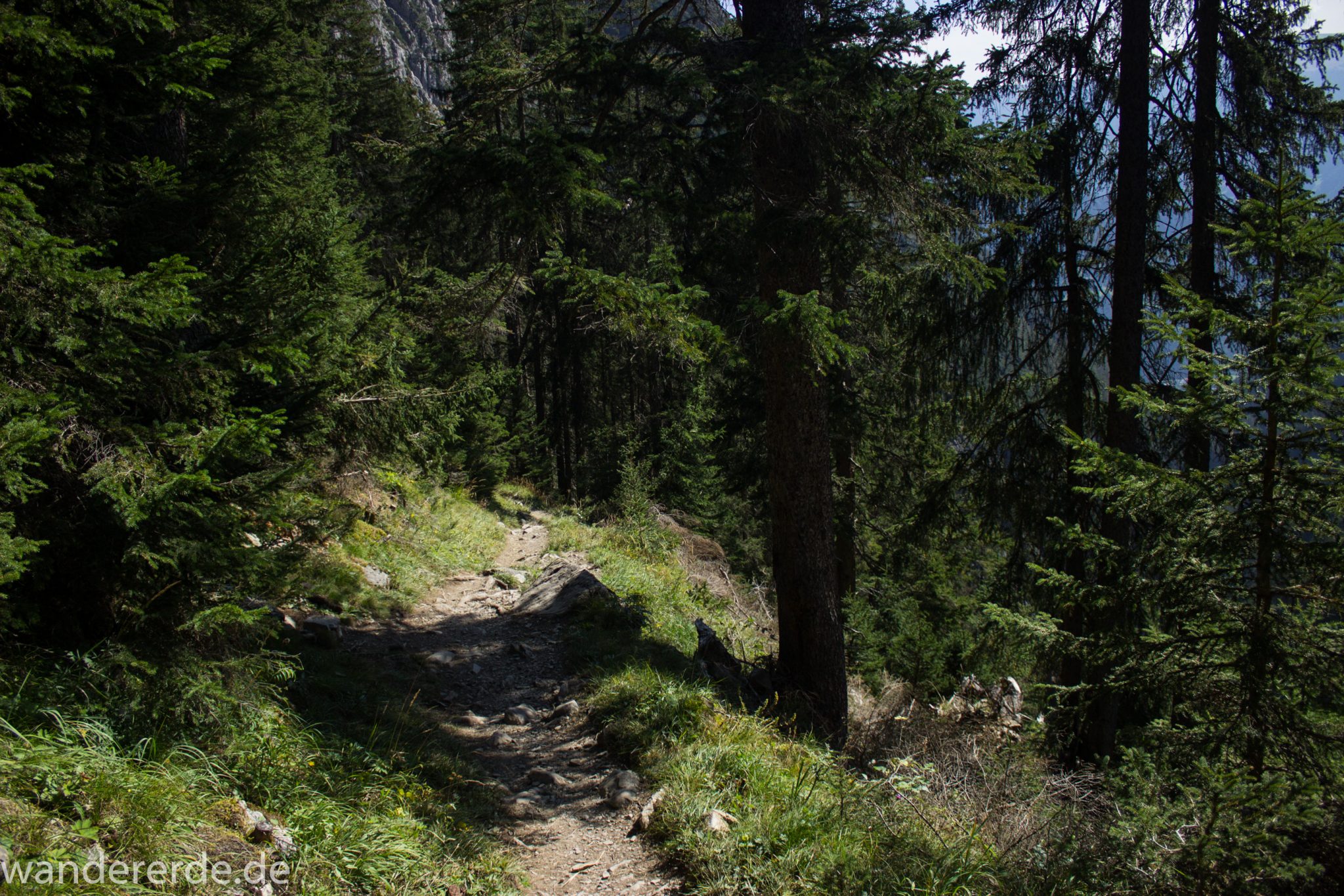 Alpenüberquerung Fernwanderweg E5 Oberstdorf Meran, 3. Etappe von Memminger Hütte zur Skihütte Zams, nach Erreichen der Seescharte folgt ein sehr langer Abstieg auf schmalem Wanderpfad Richtung Zams durch das Zammer Loch, Abschnitt  mit saftig grüner Vegetation, viele Bäume spenden Schatten, Wanderweg ist schmal und zunehmend wieder steiler