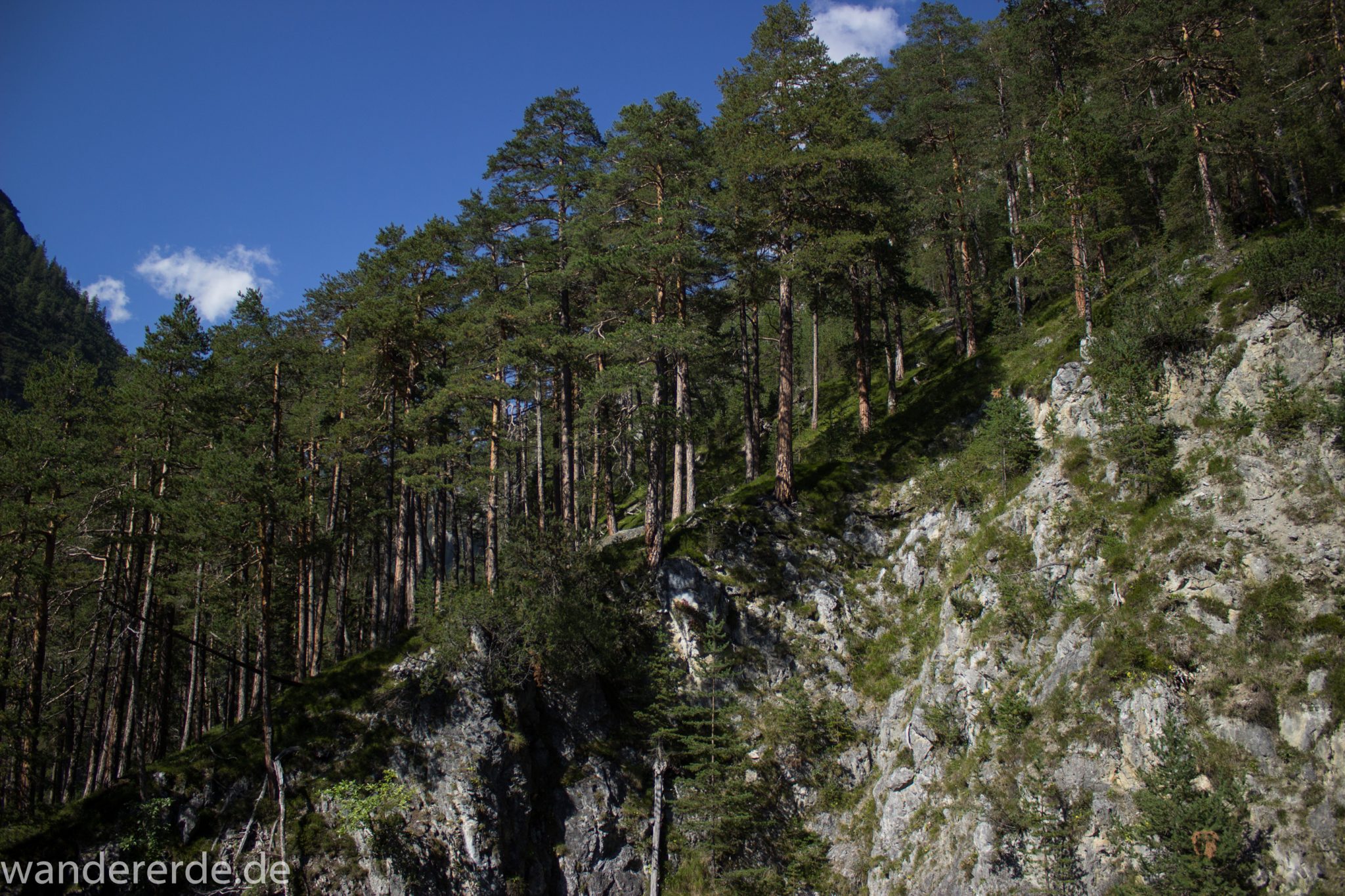 Alpenüberquerung Fernwanderweg E5 Oberstdorf Meran, 3. Etappe von Memminger Hütte zur Skihütte Zams, nach Erreichen der Seescharte folgt ein sehr langer Abstieg auf schmalem Wanderpfad Richtung Zams durch das Zammer Loch, Abschnitt  mit saftig grüner Vegetation, ab und zu Schatten