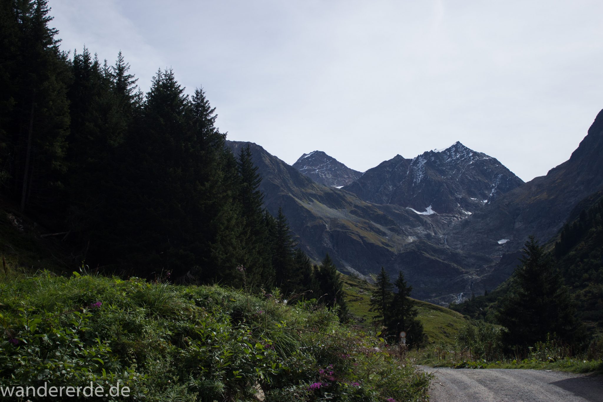 Alpenüberquerung Fernwanderweg E5 Oberstdorf Meran, 4. Etappe von Skihütte Zams zur Braunschweiger Hütte, nach Busfahrt von Wenns nach Mittelberg zunächst über breiteren Weg Richtung Braunschweiger Hütte, umgeben von schönem grünem Wald ist der Wanderweg hier nicht steil, grüne Vegetation, herrliches Wanderwetter bei strahlendem Sonnenschein